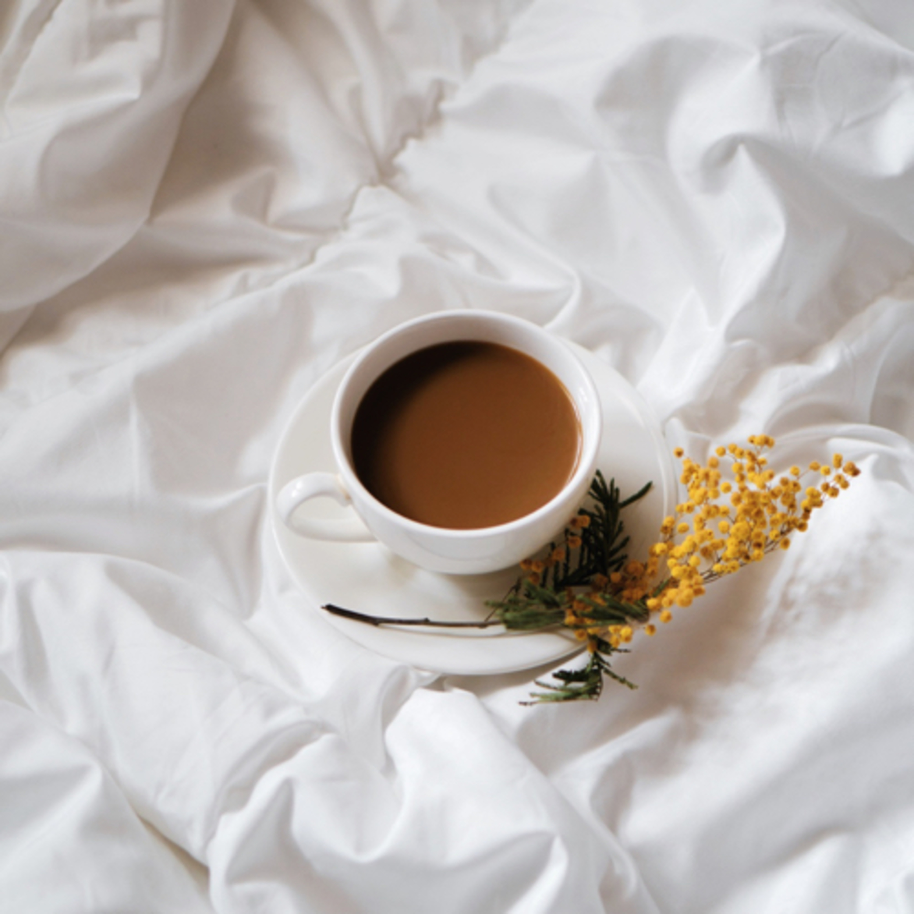 Chai with Ginger