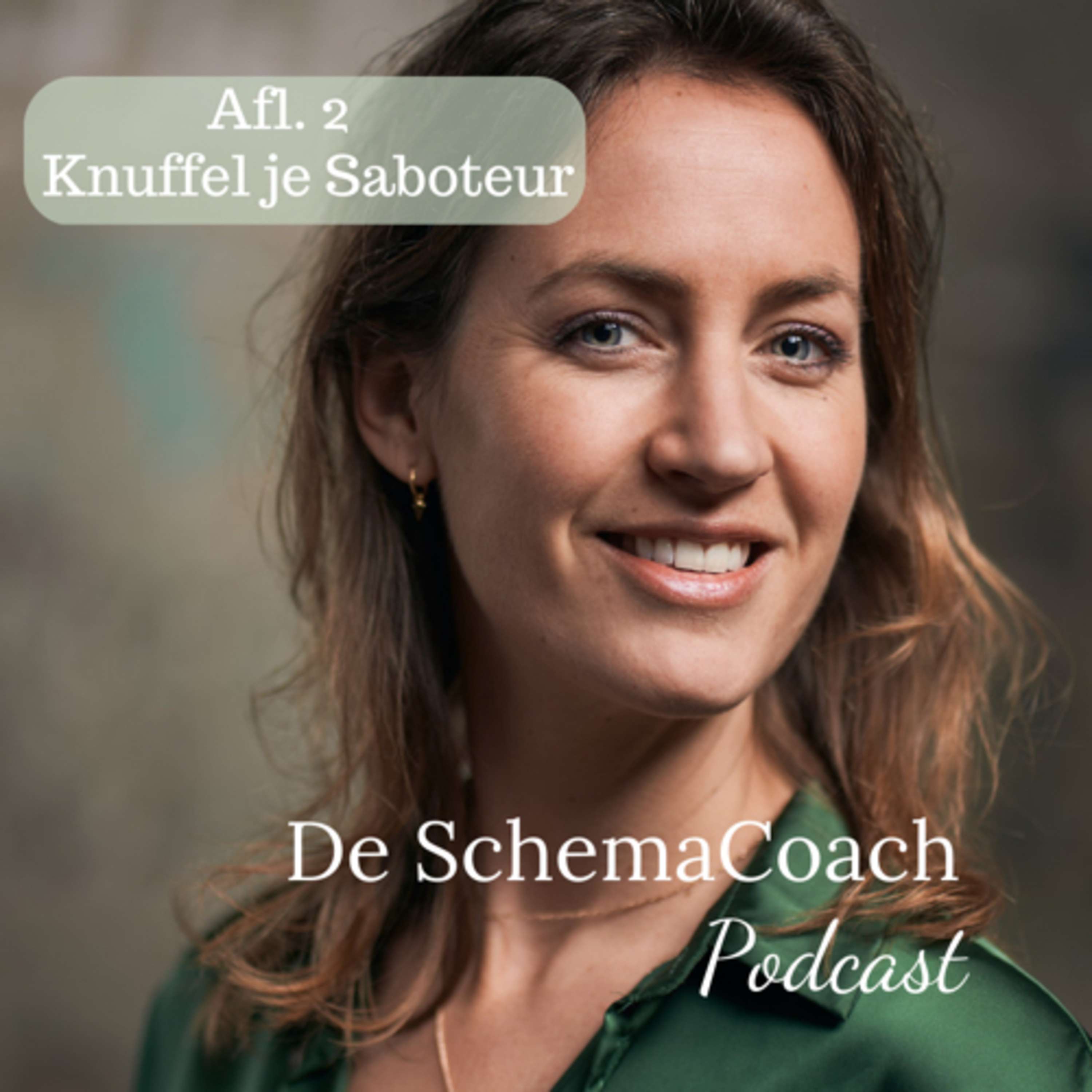 De SchemaCoach Podcast