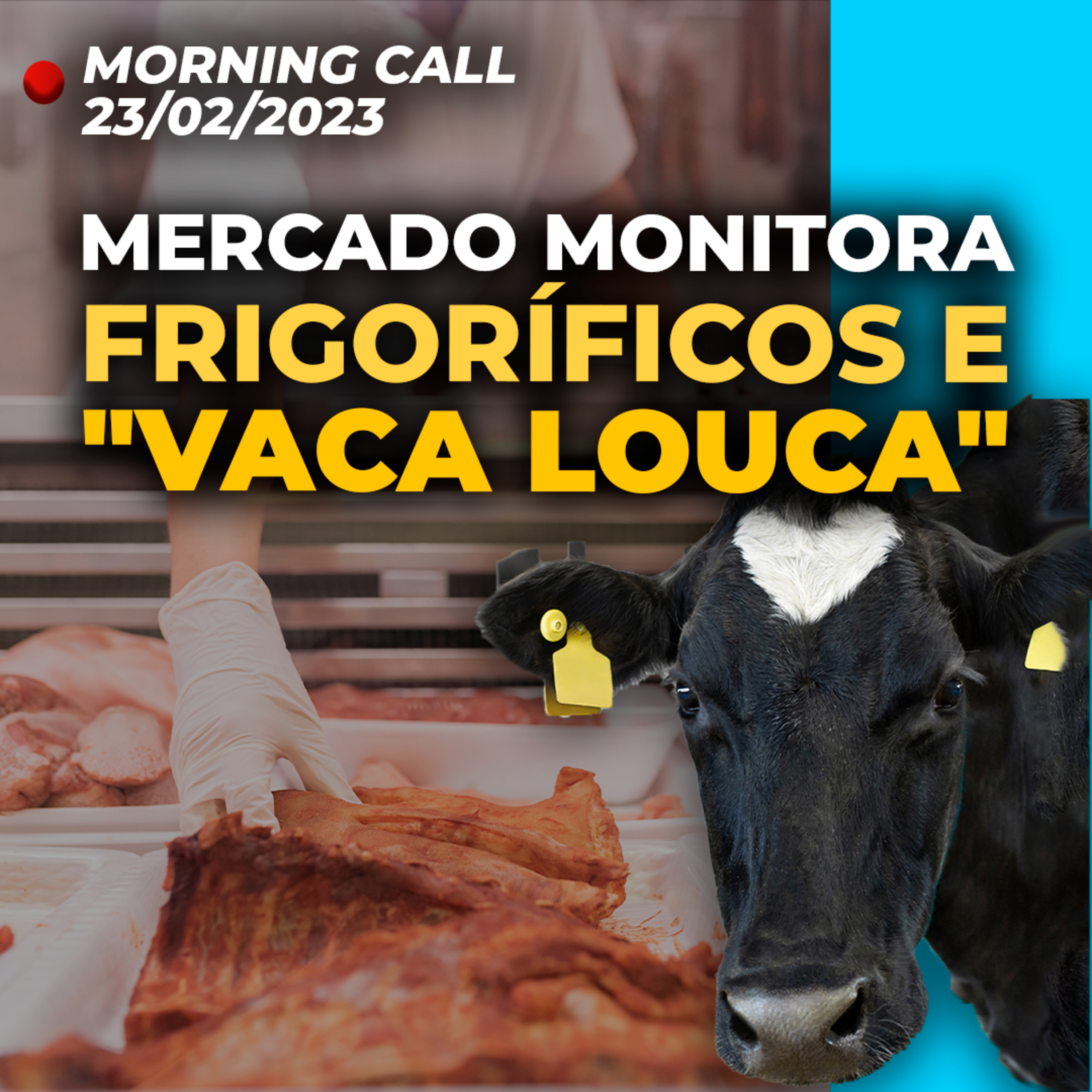 BRFS3, BEEF3, MRFG3: Mercado monitora situação envolvendo ‘vaca louca’ | PIB dos EUA episode artwork