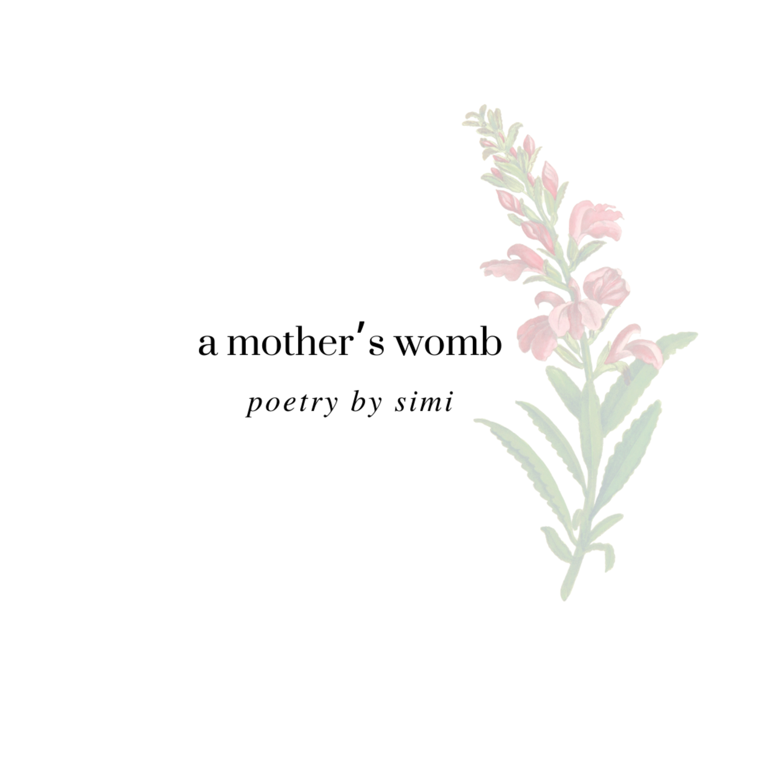 the colour mom
