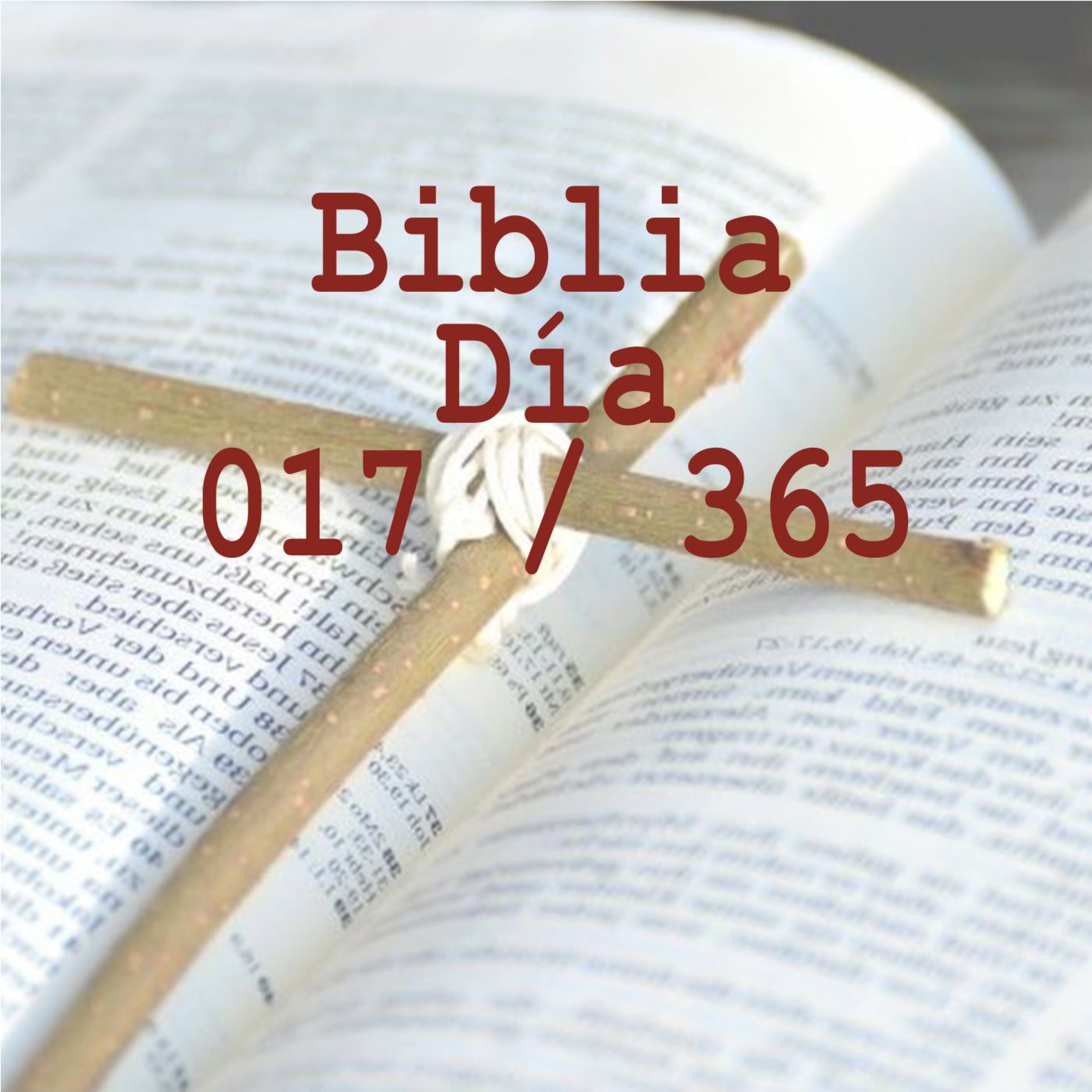 Biblia 365 días