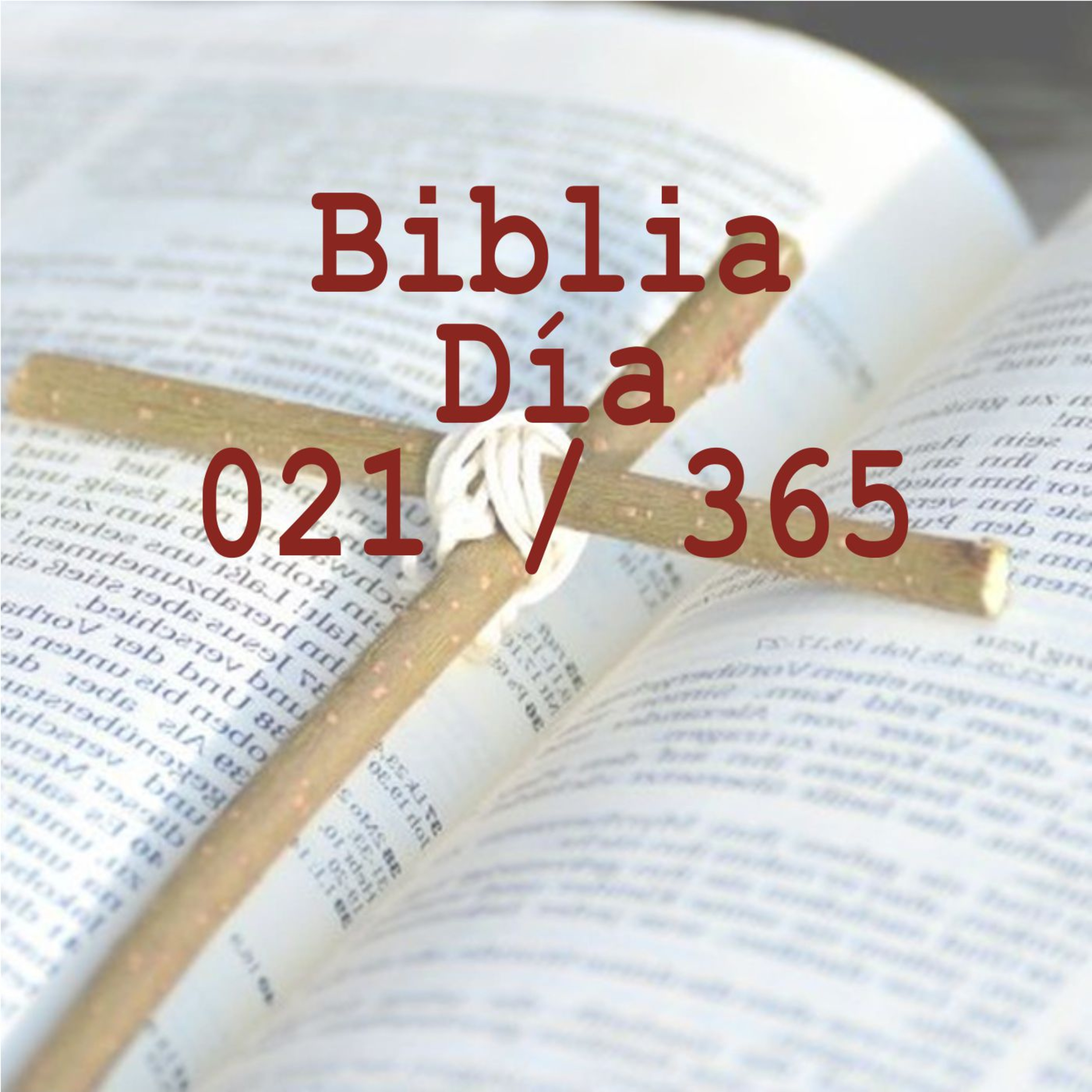 Biblia 365 días