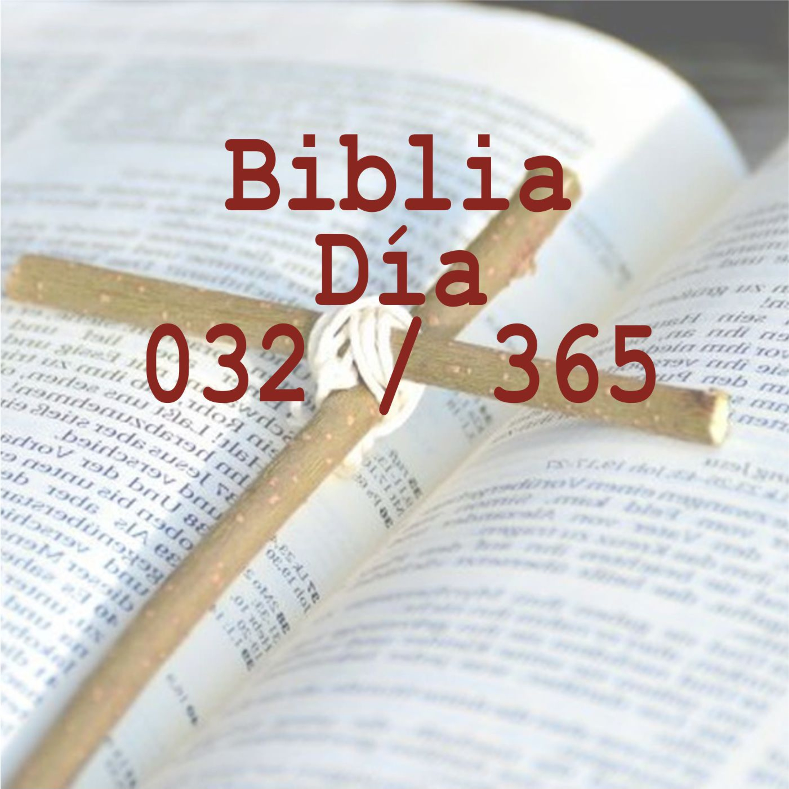 Biblia 365 días