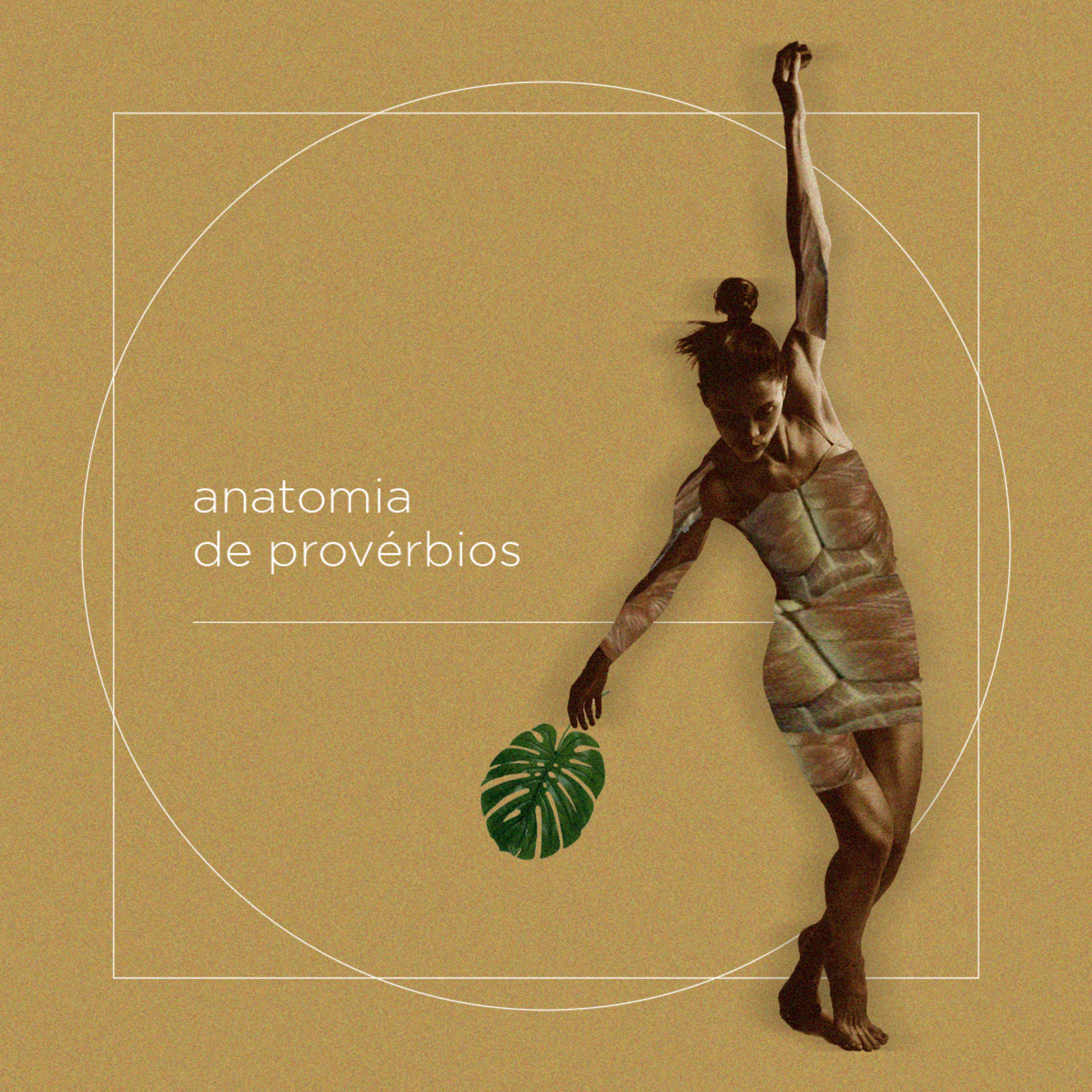 Juventude IBVM