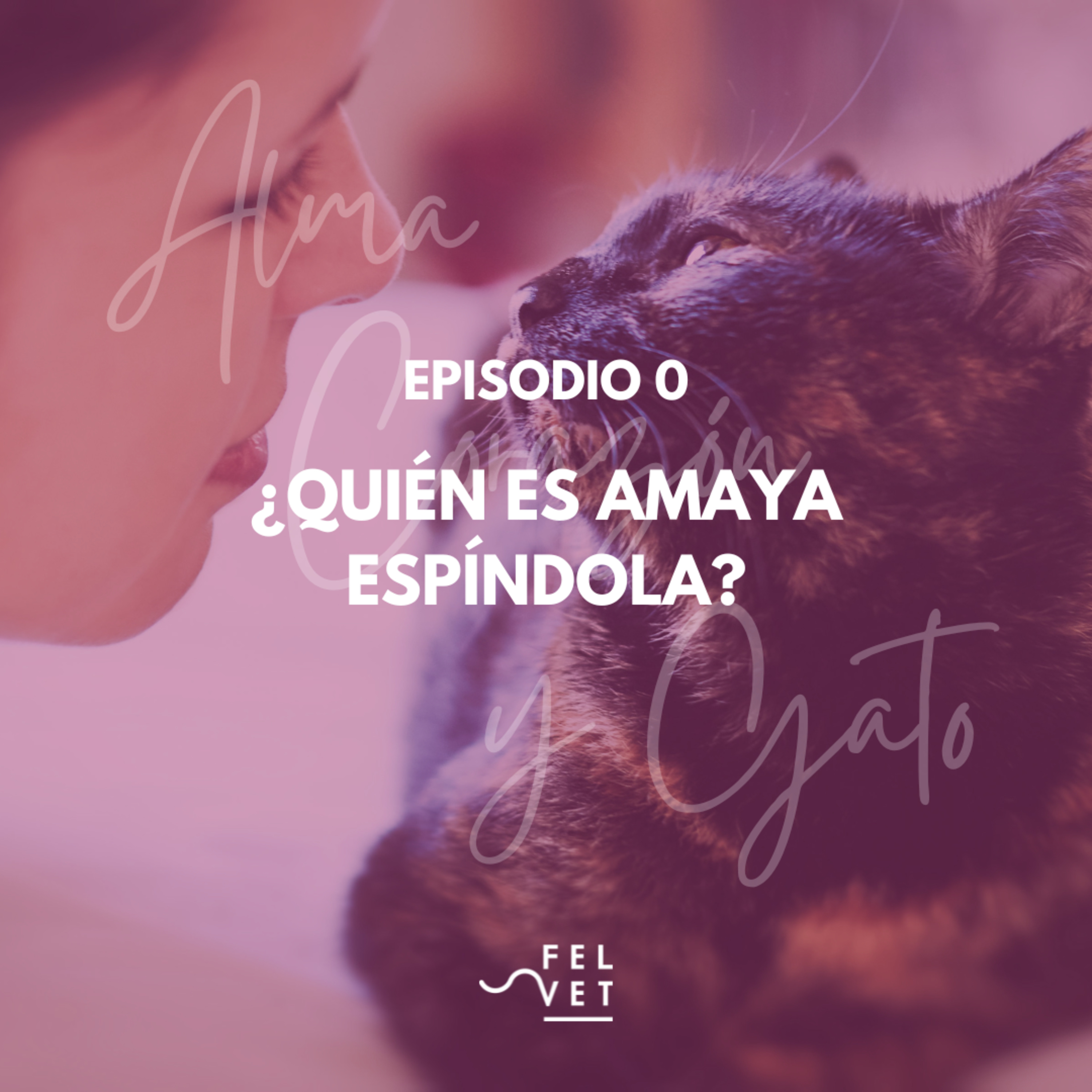 Alma Corazón y Gato - Podcast sobre gatos