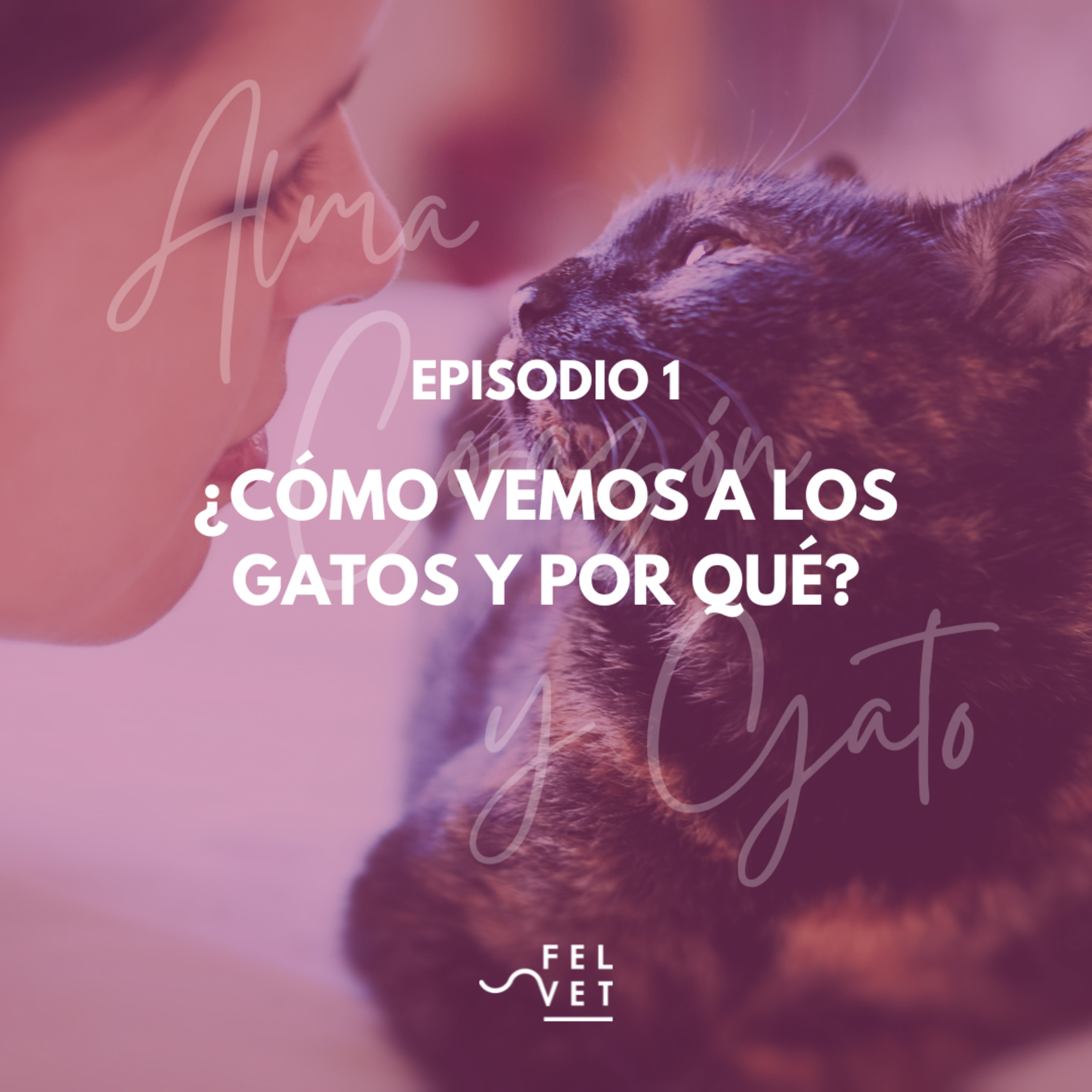 Alma Corazón y Gato - Podcast sobre gatos