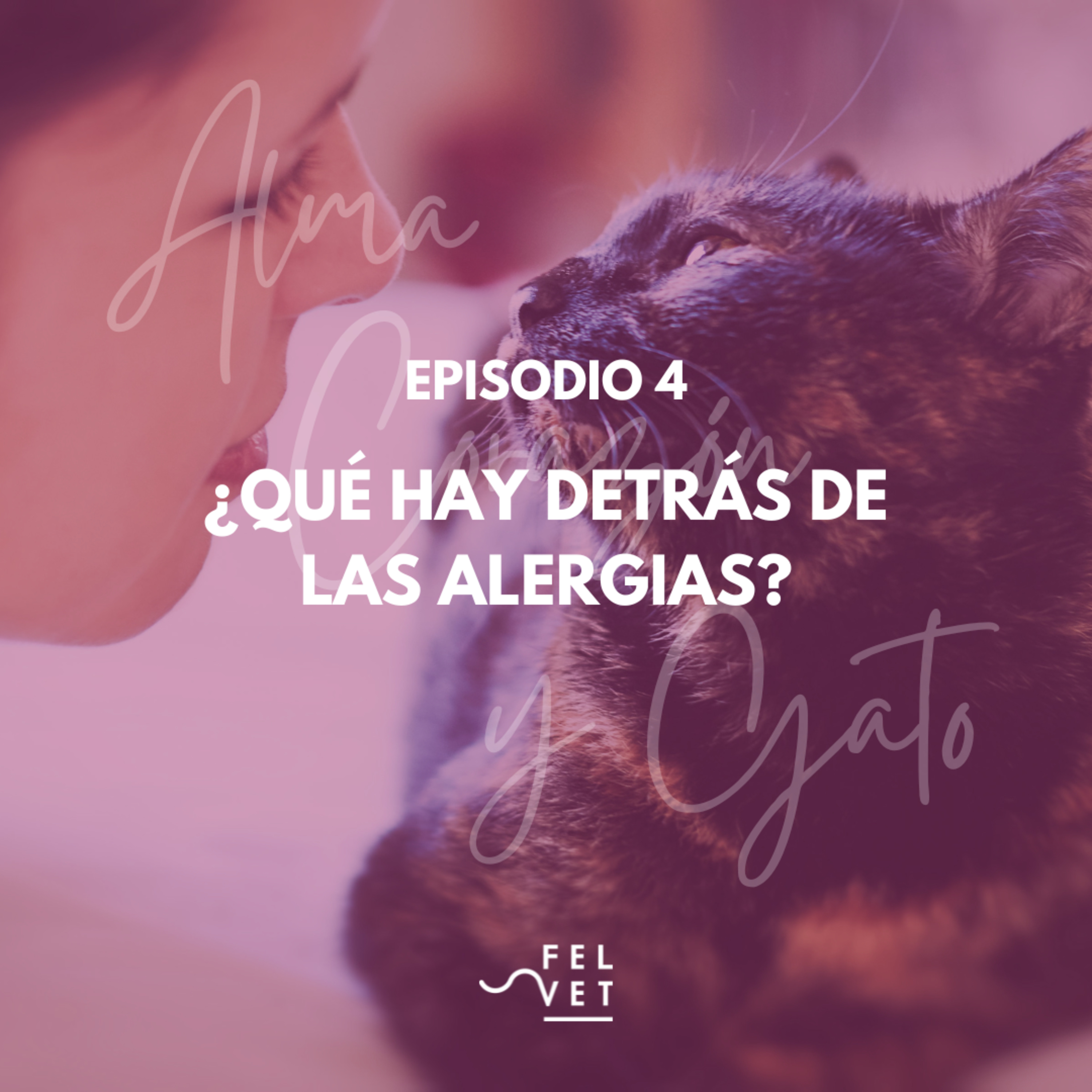 Alma Corazón y Gato - Podcast sobre gatos