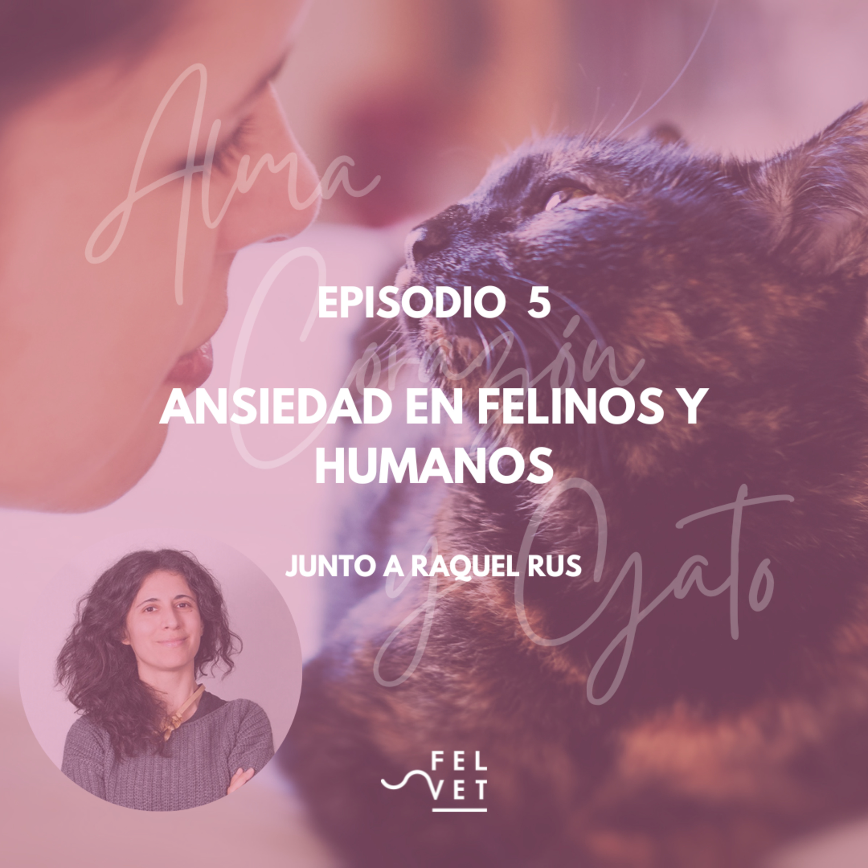 Alma Corazón y Gato - Podcast sobre gatos