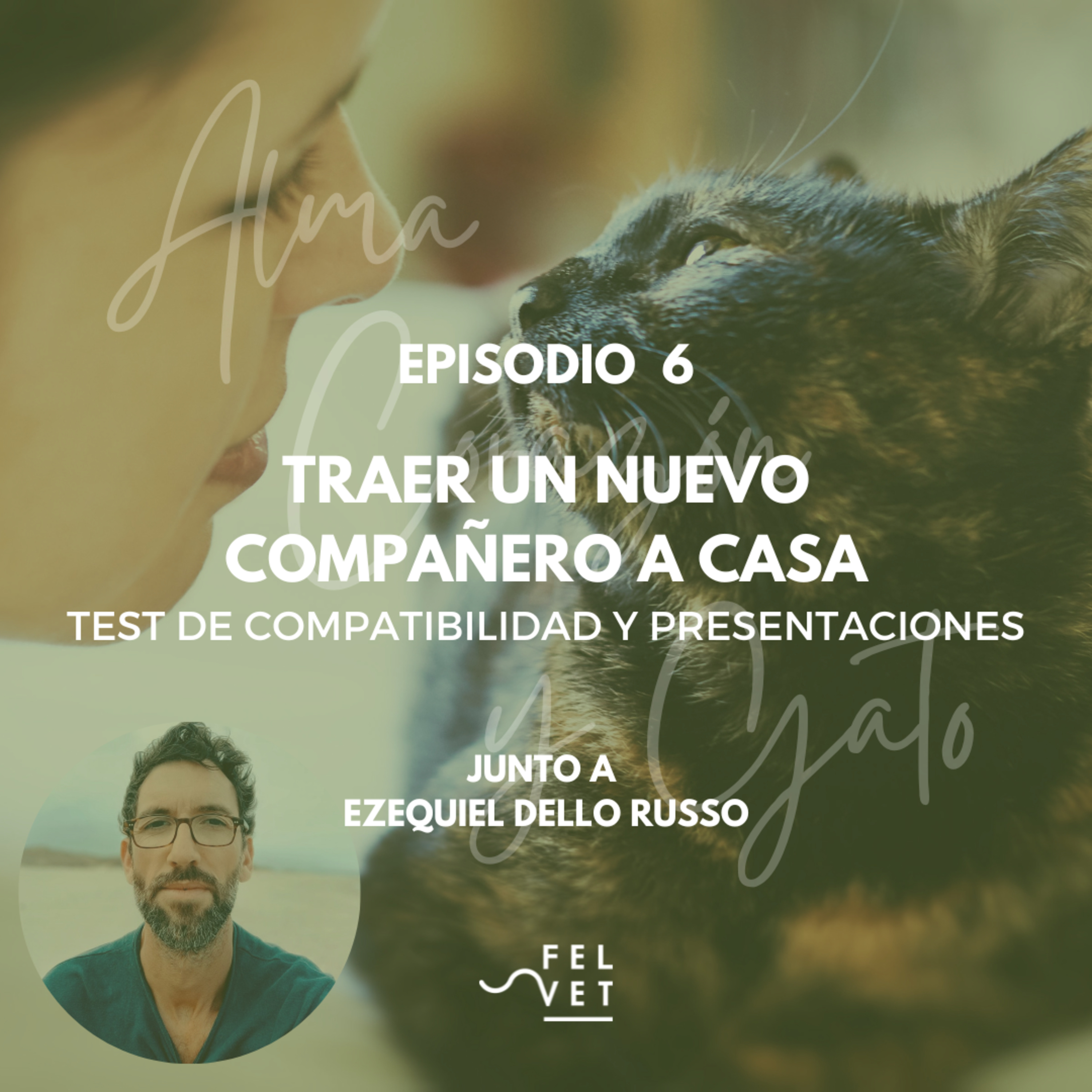 Alma Corazón y Gato - Podcast sobre gatos