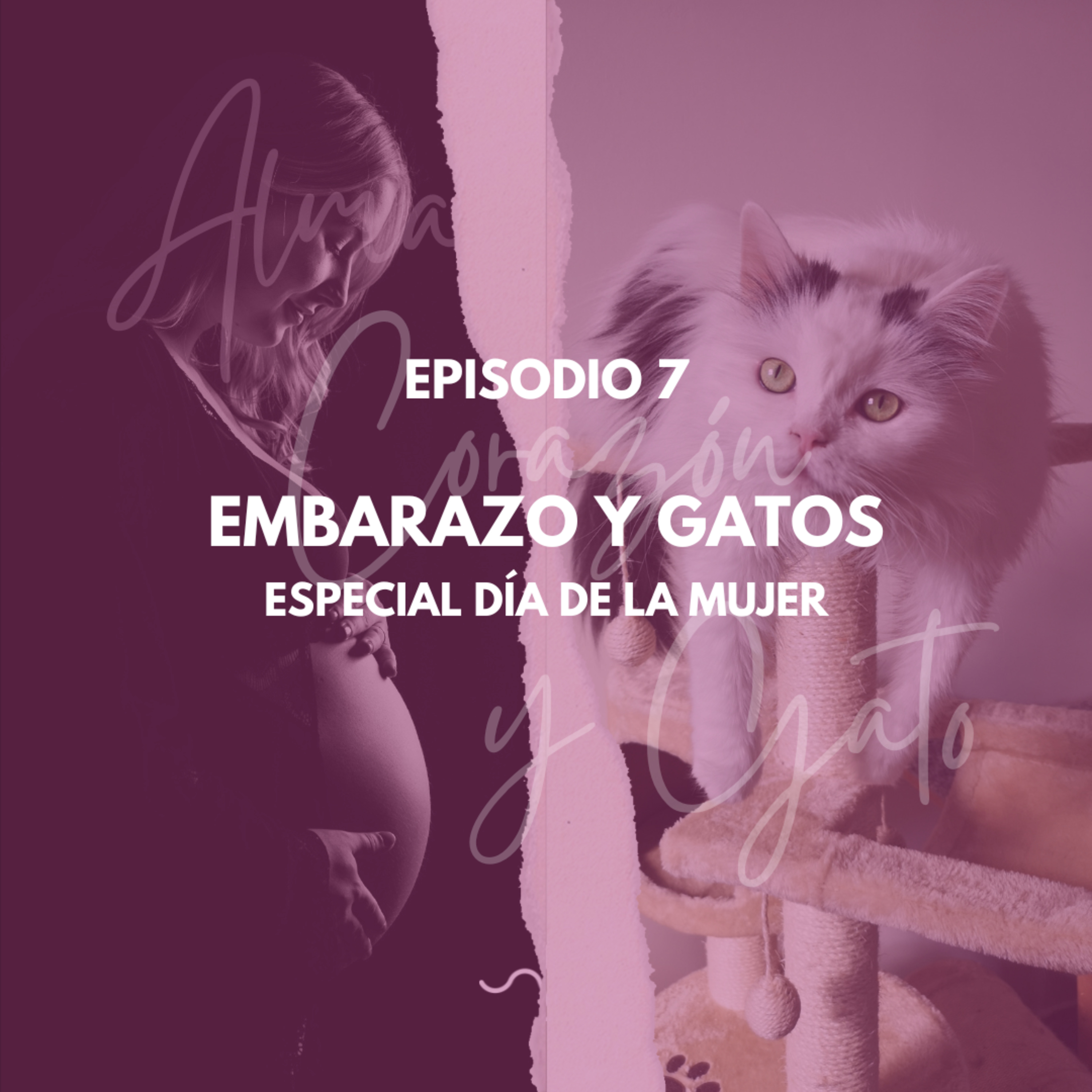 Alma Corazón y Gato - Podcast sobre gatos