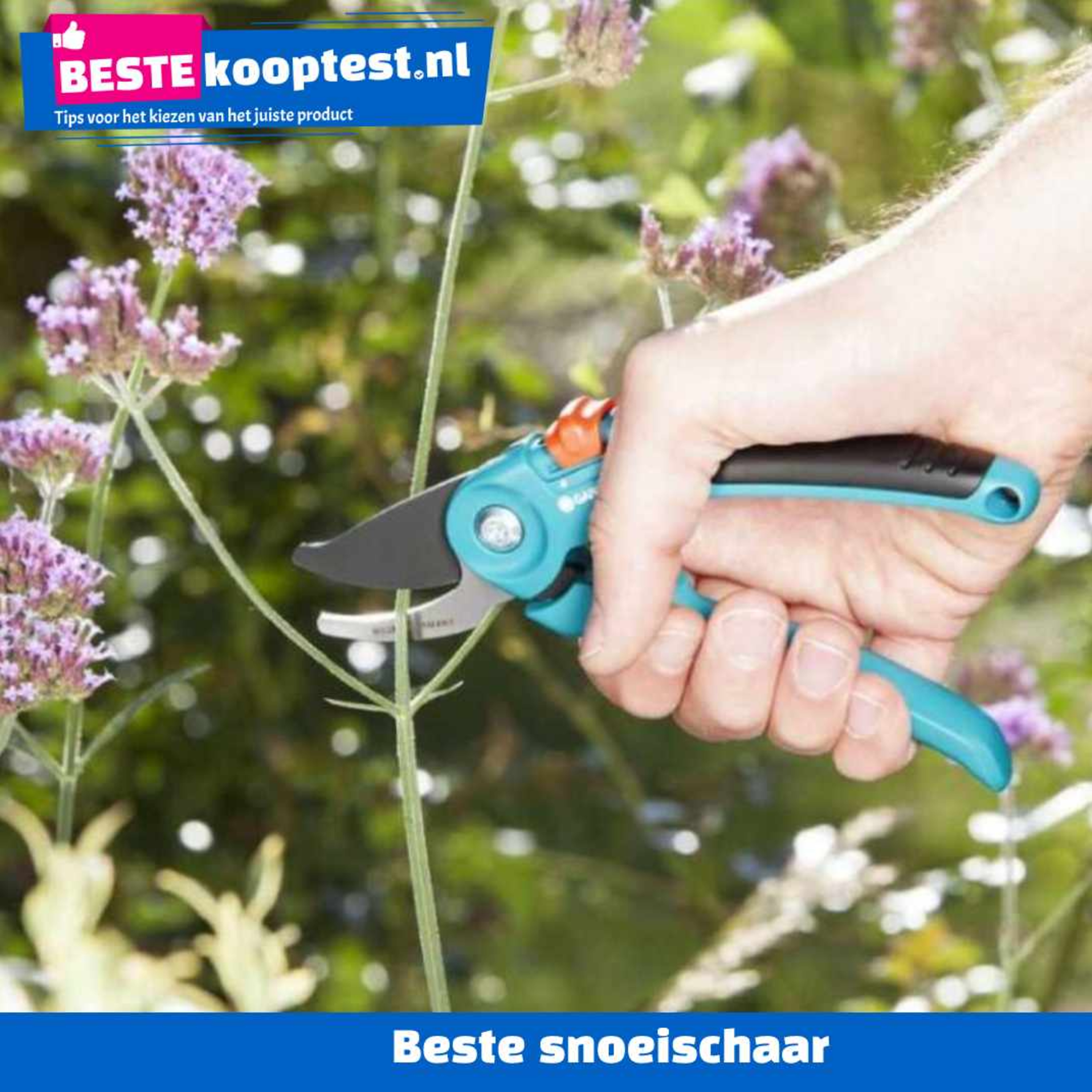 Beste Koop