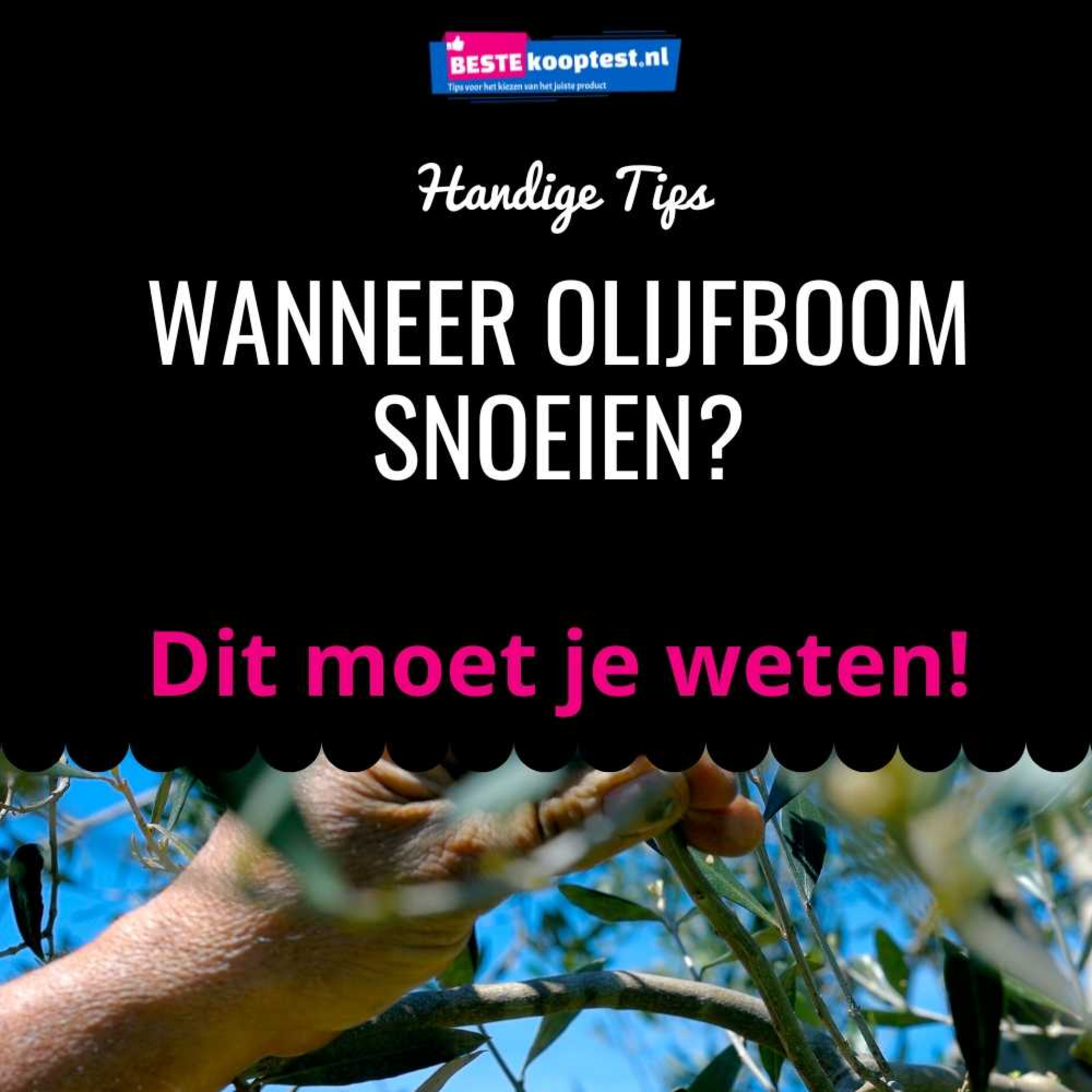 Beste Koop