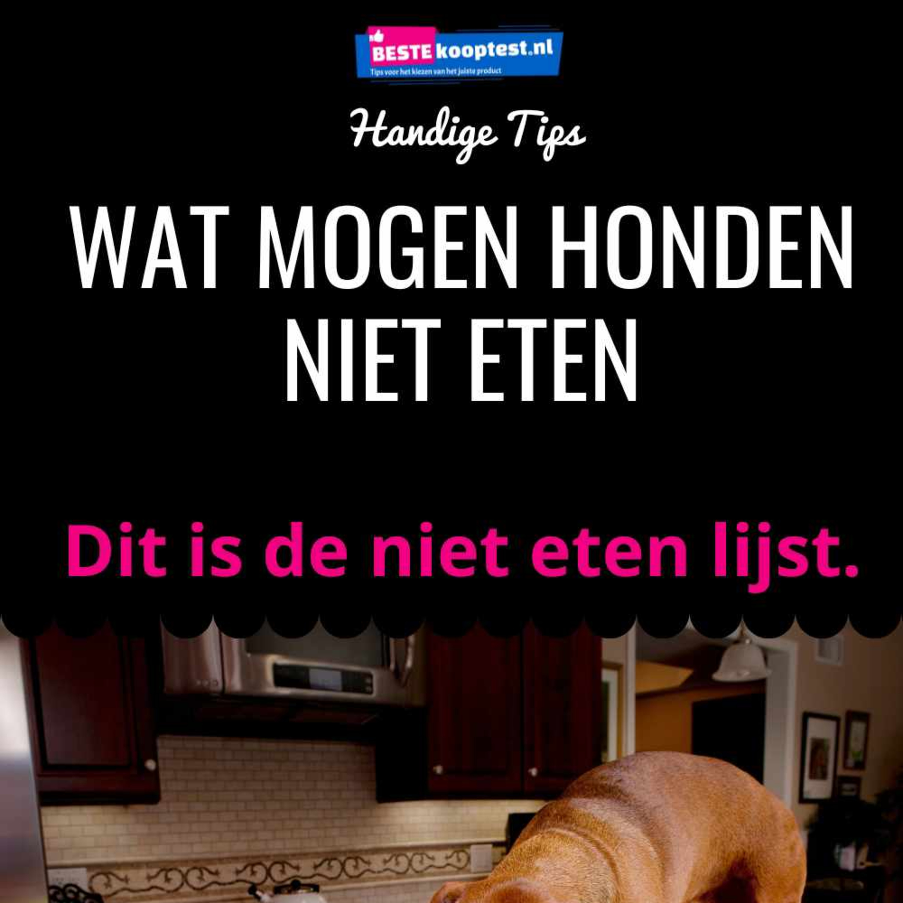 Beste Koop