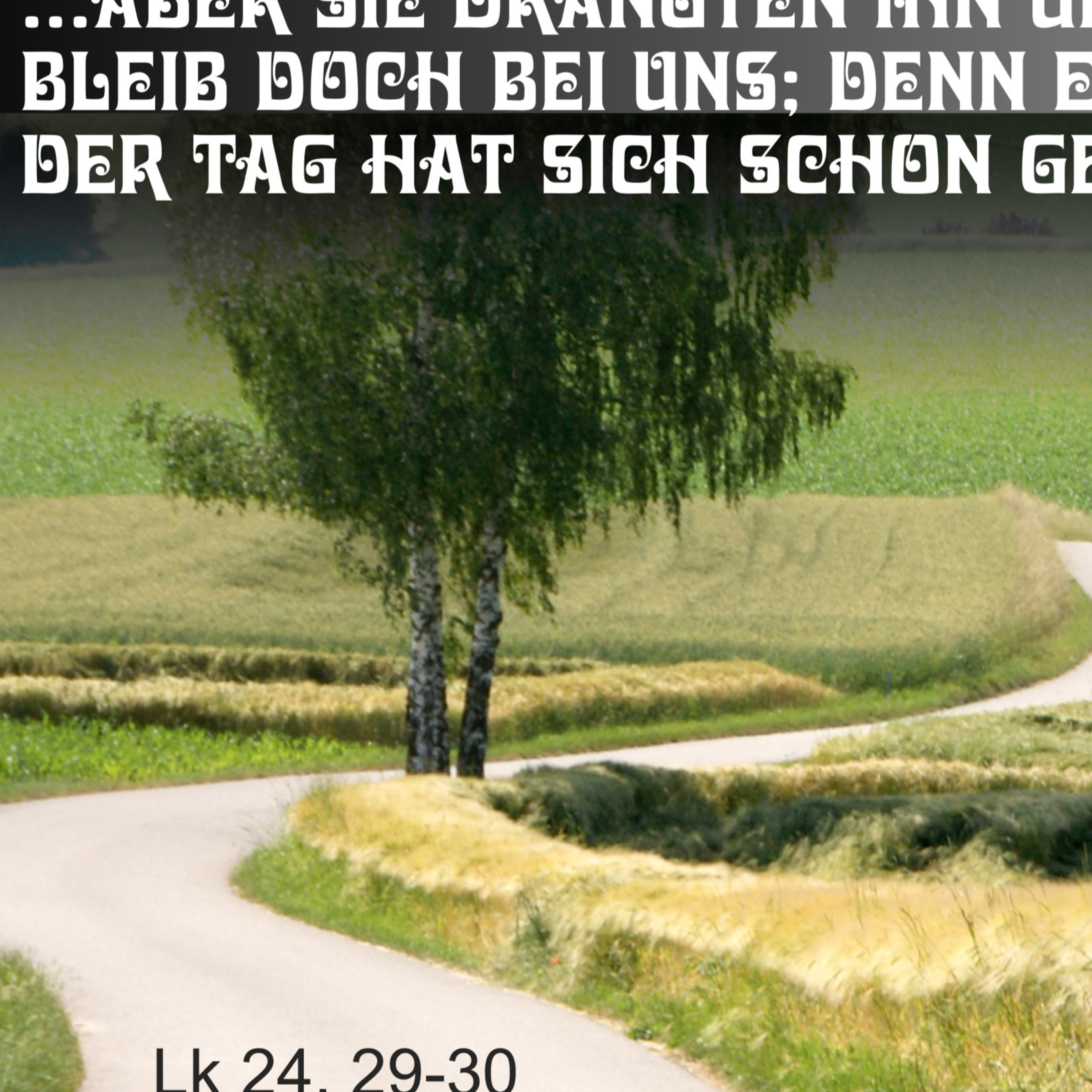 Das gute Wort....