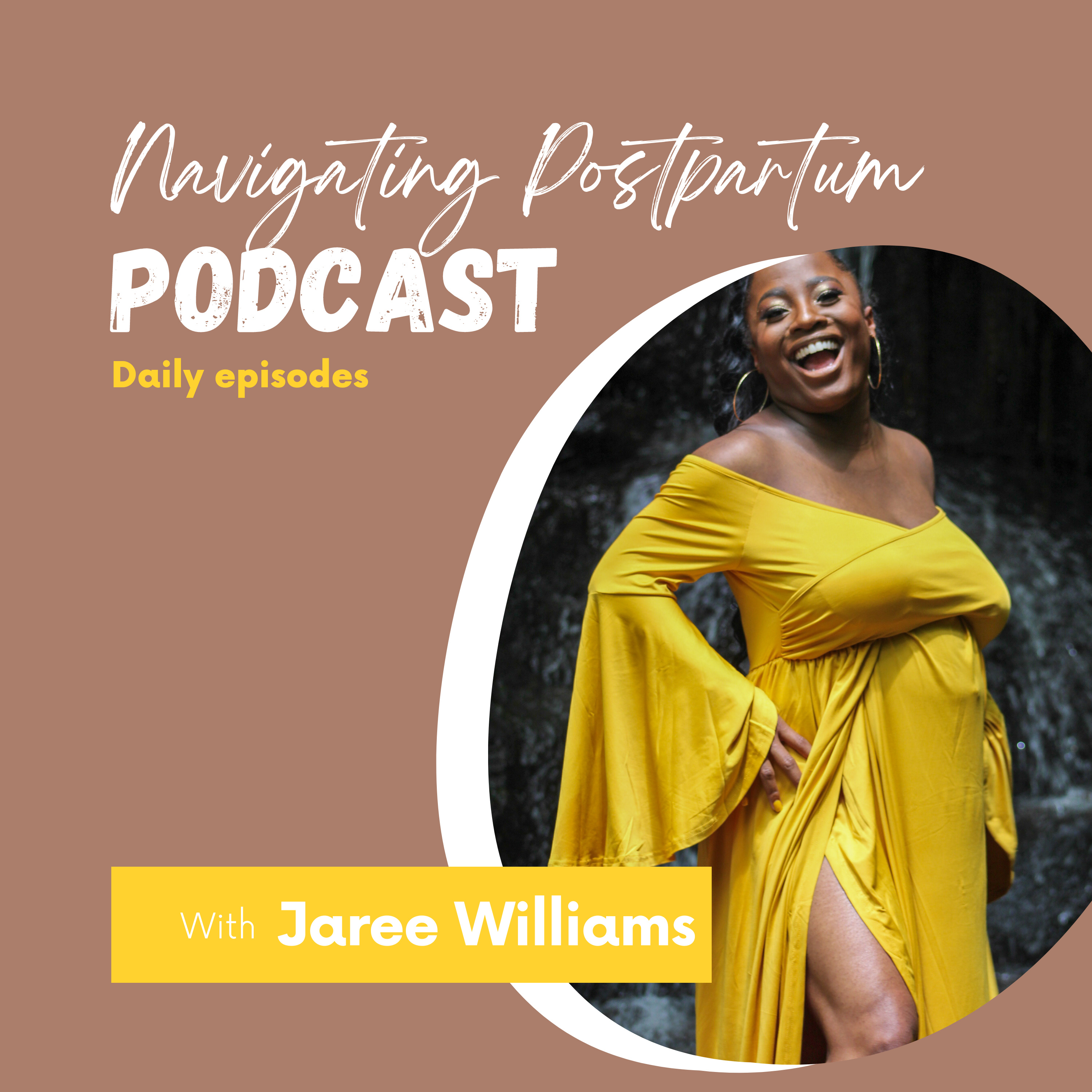Navigating Postpartum Wellness Podcast