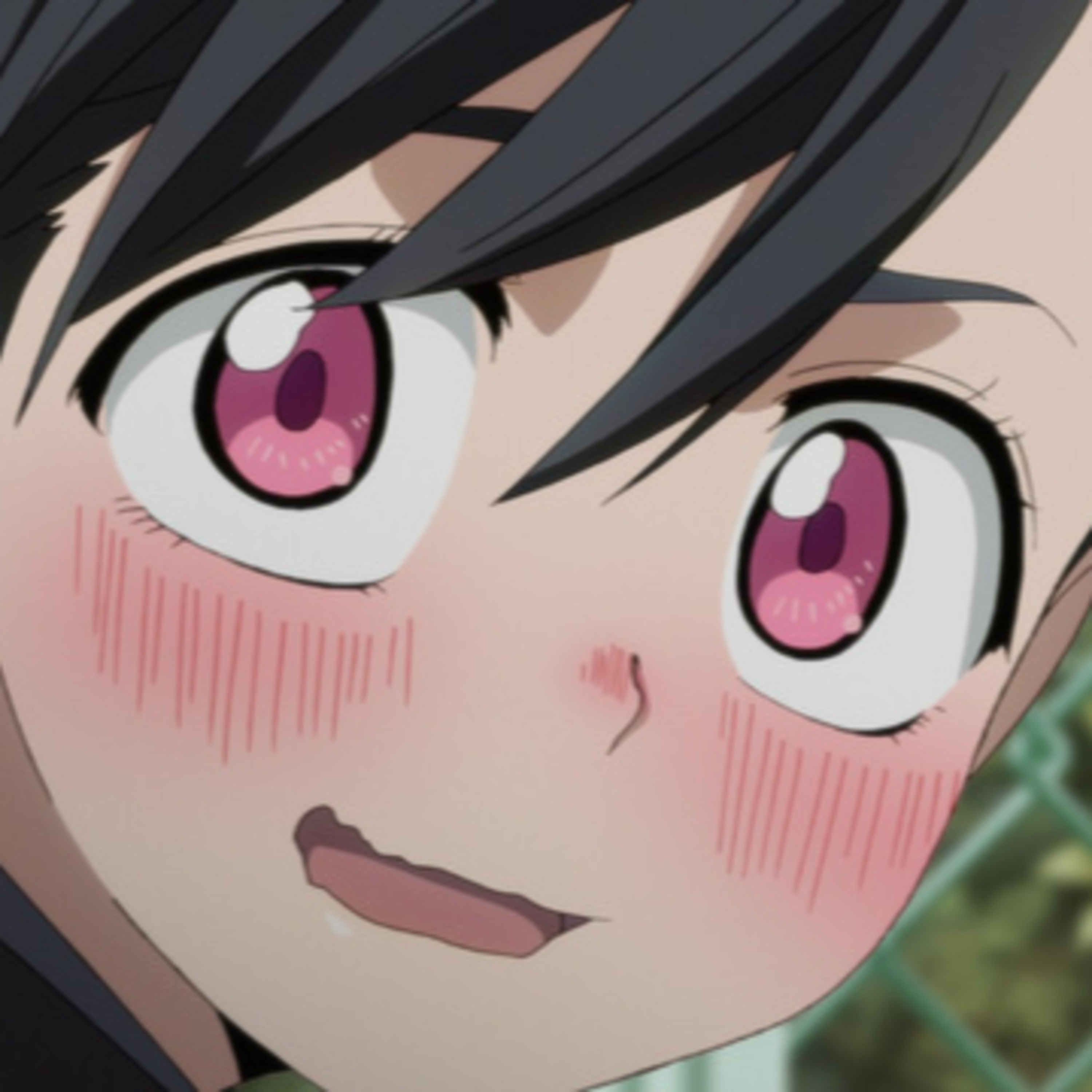 Waifus and Weeaboos
