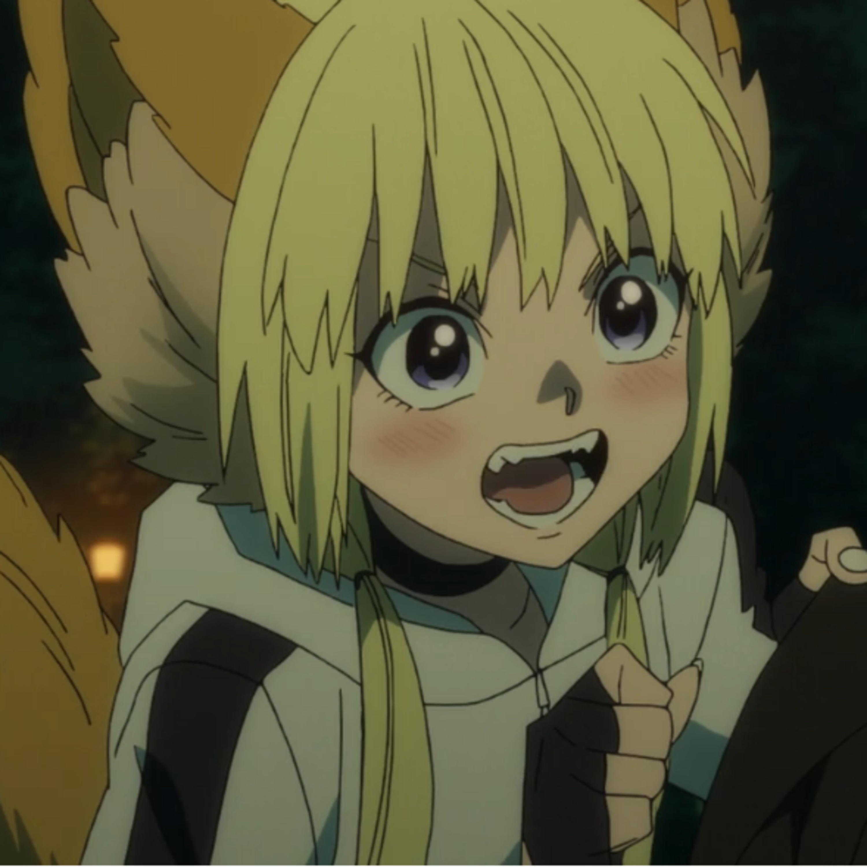 Waifus and Weeaboos