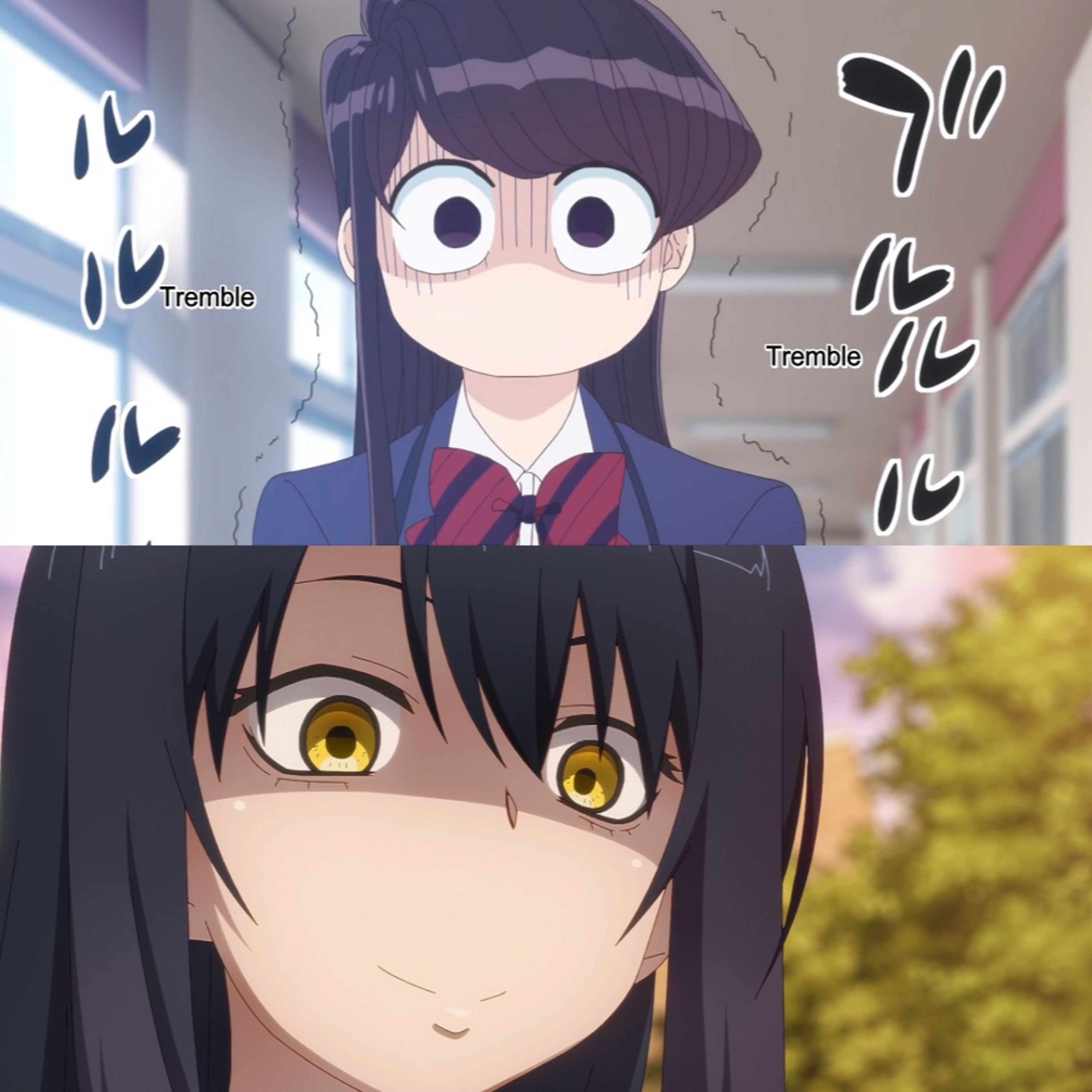 Waifus and Weeaboos