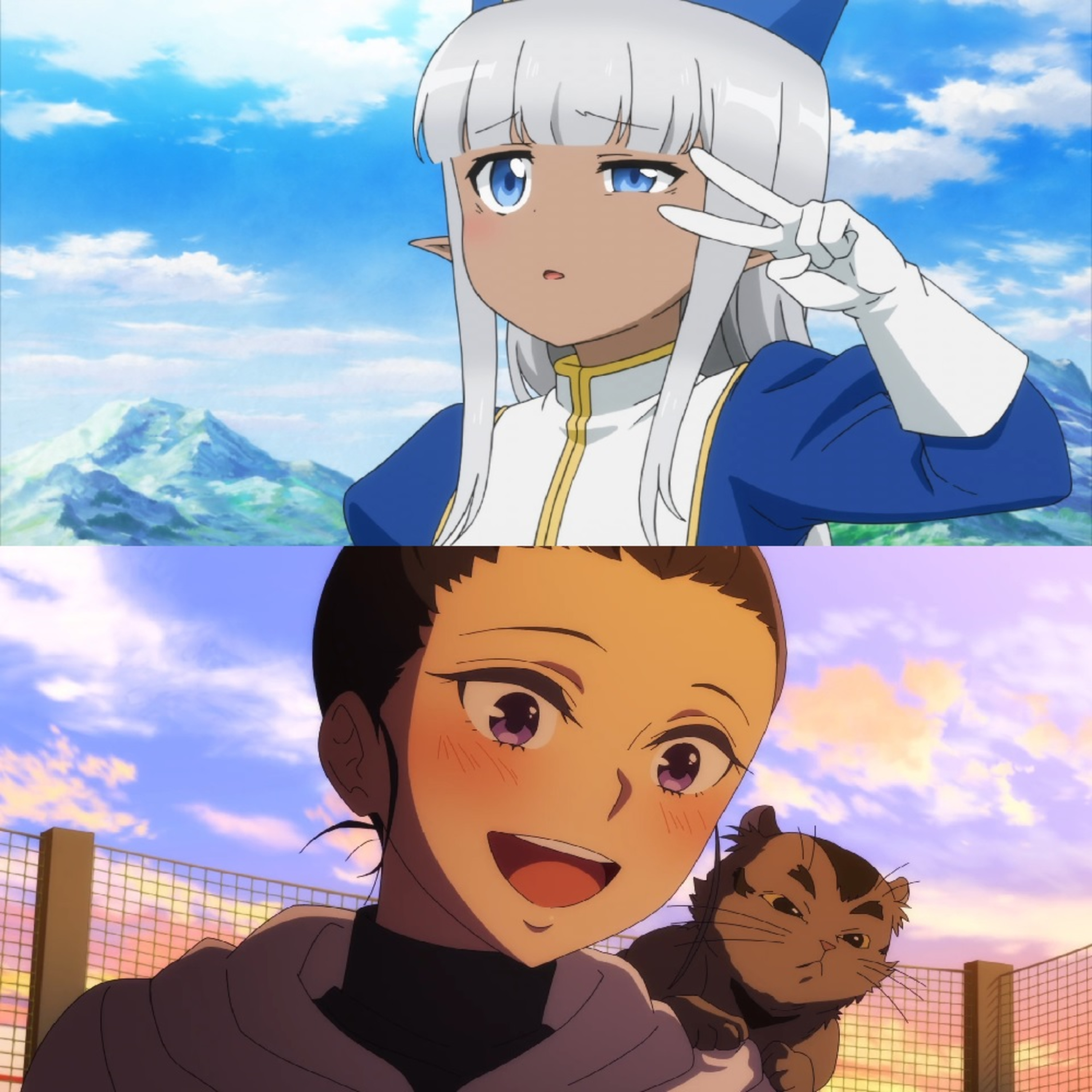 Waifus and Weeaboos