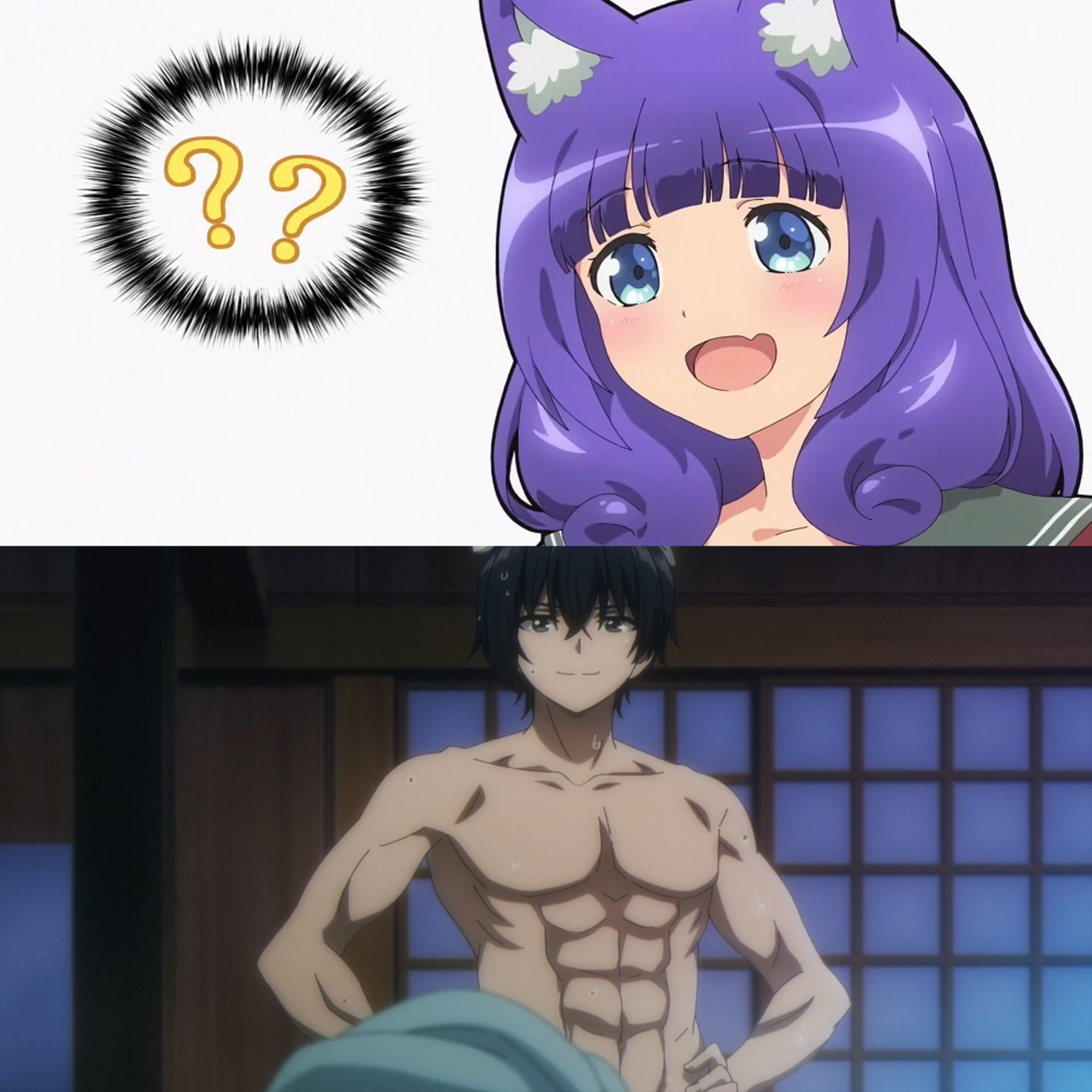 Waifus and Weeaboos
