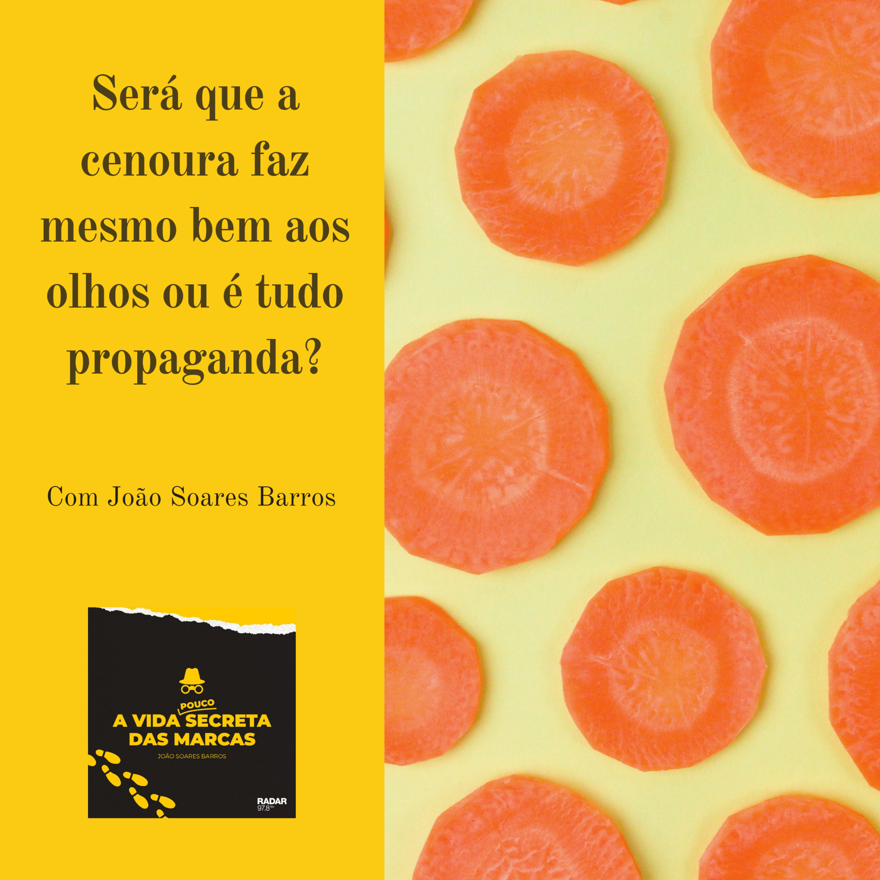 A Vida (Pouco) Secreta das Marcas