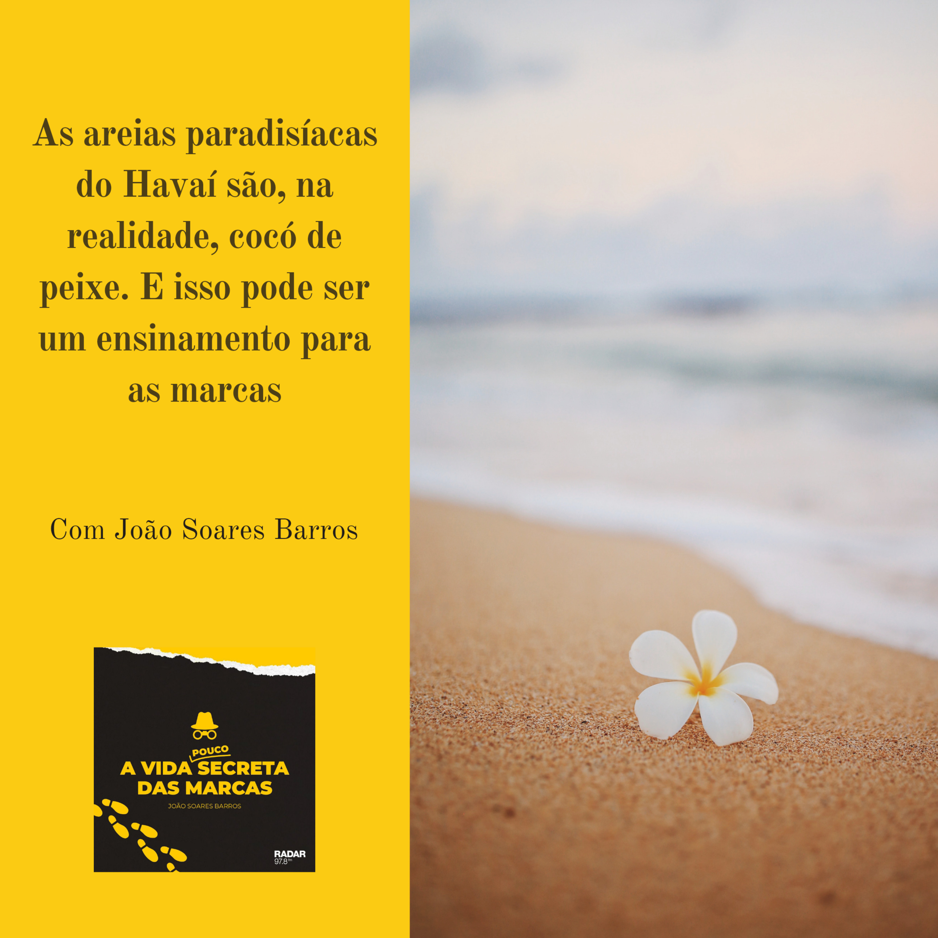 A Vida (Pouco) Secreta das Marcas