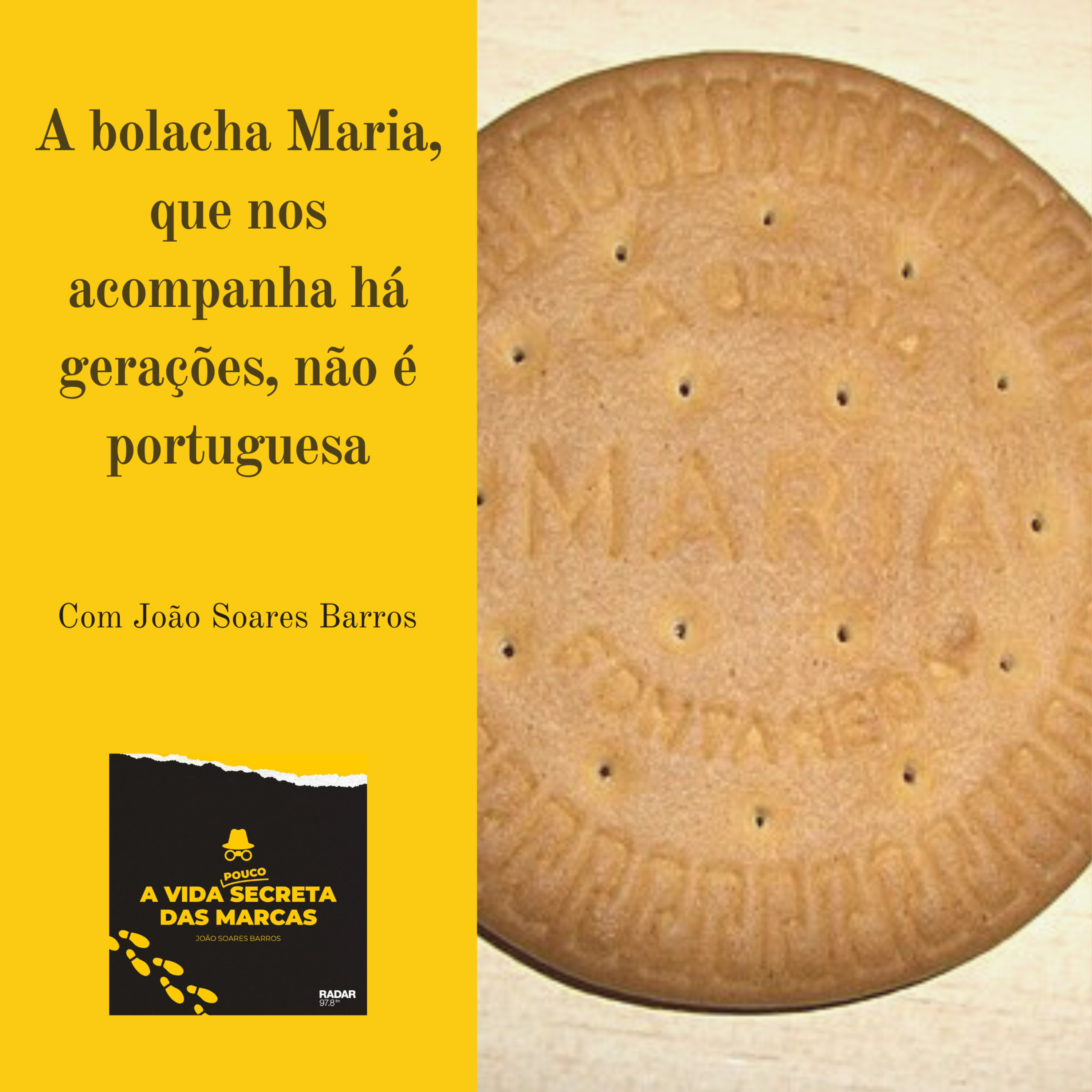 A Vida (Pouco) Secreta das Marcas