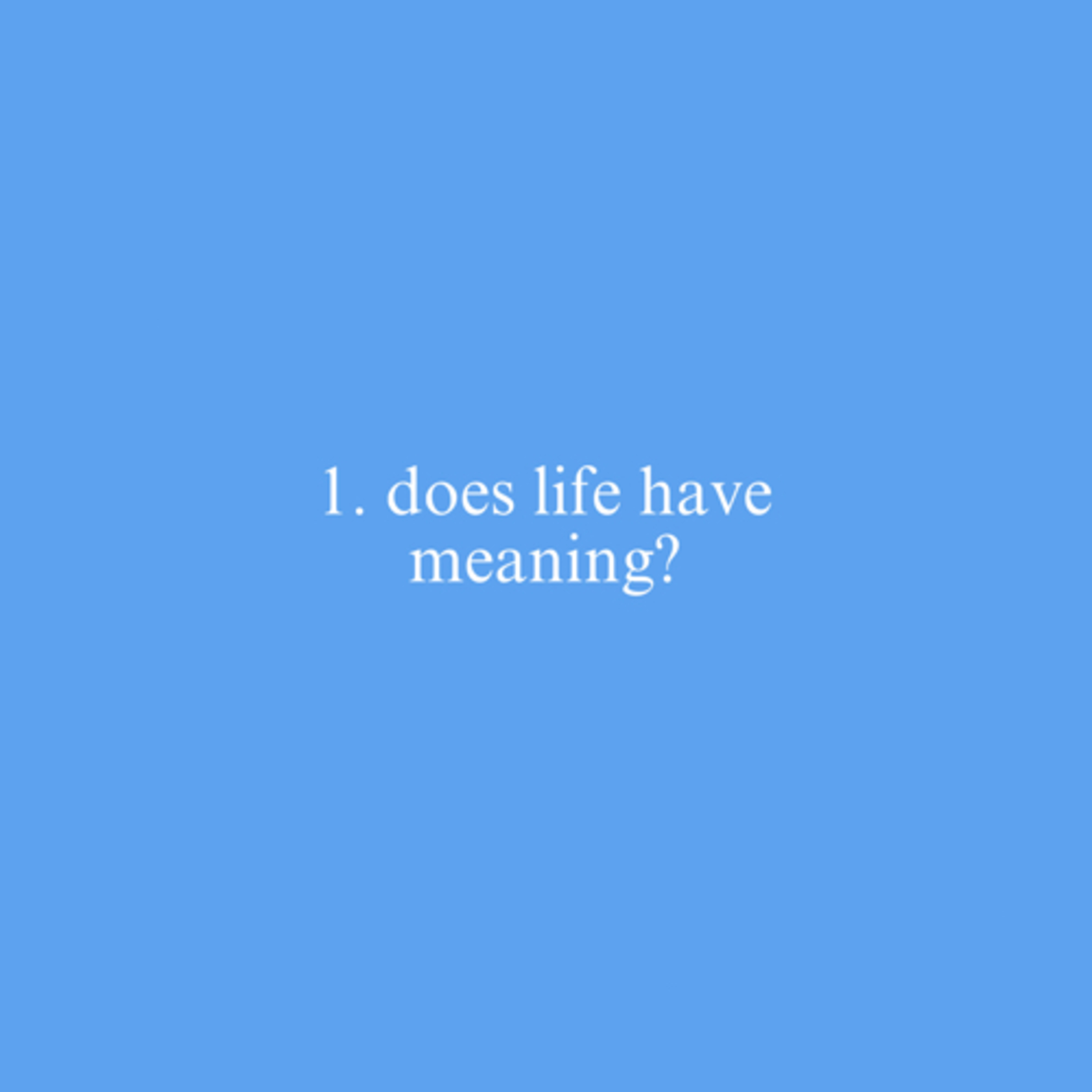 1. does life have meaning? episode artwork