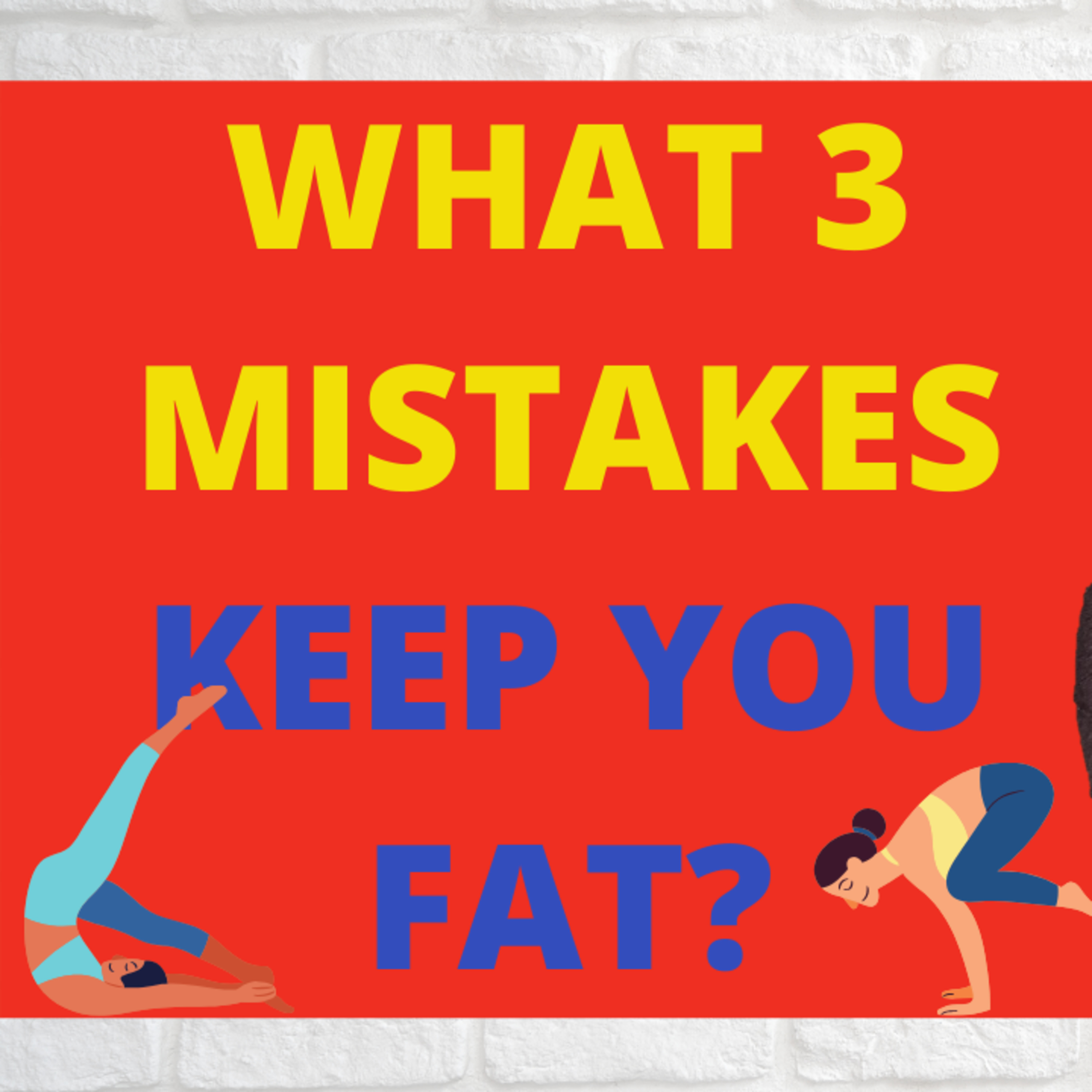 The Fit Women Hub - Fat Loss for Women