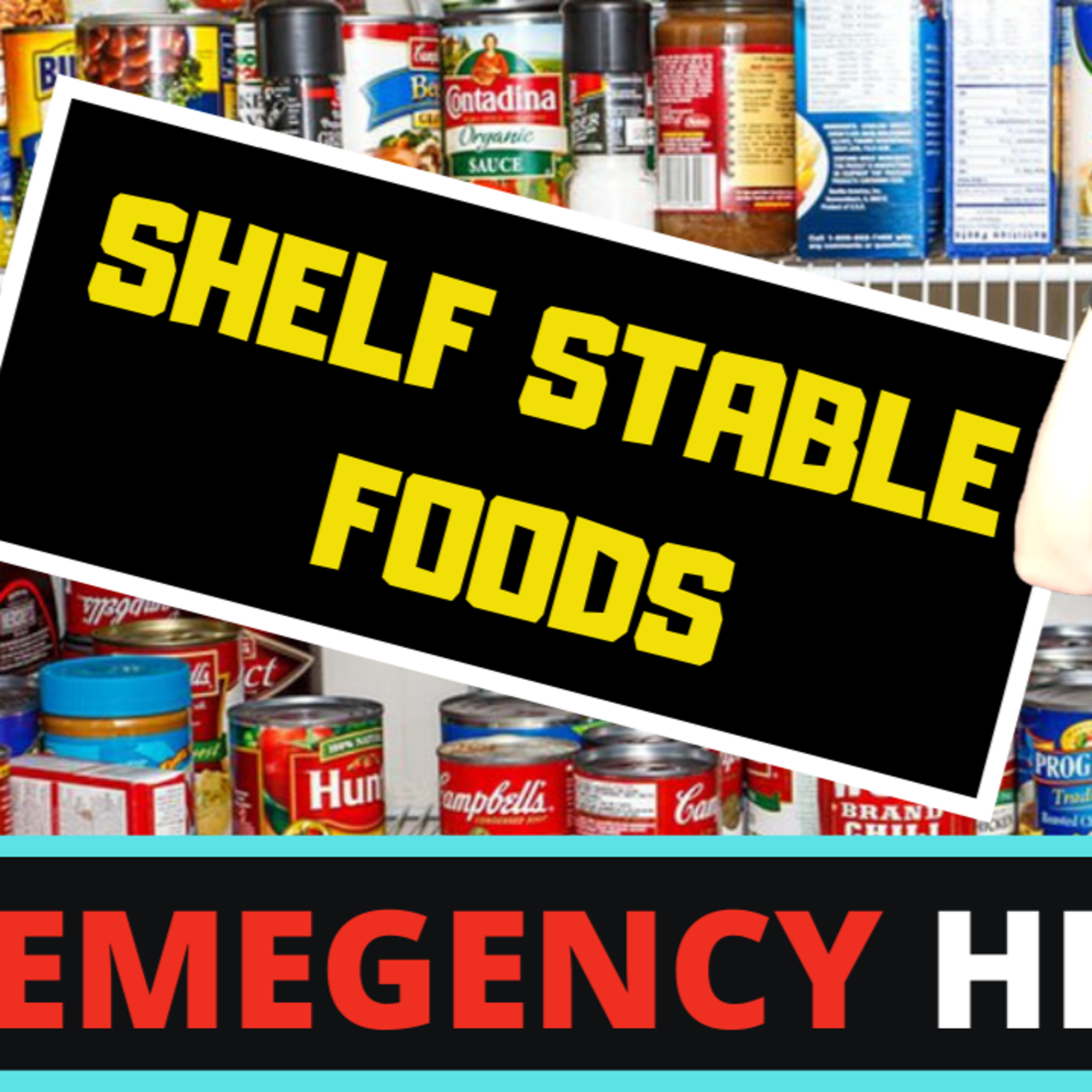 The Fit Women Hub - Fat Loss for Women