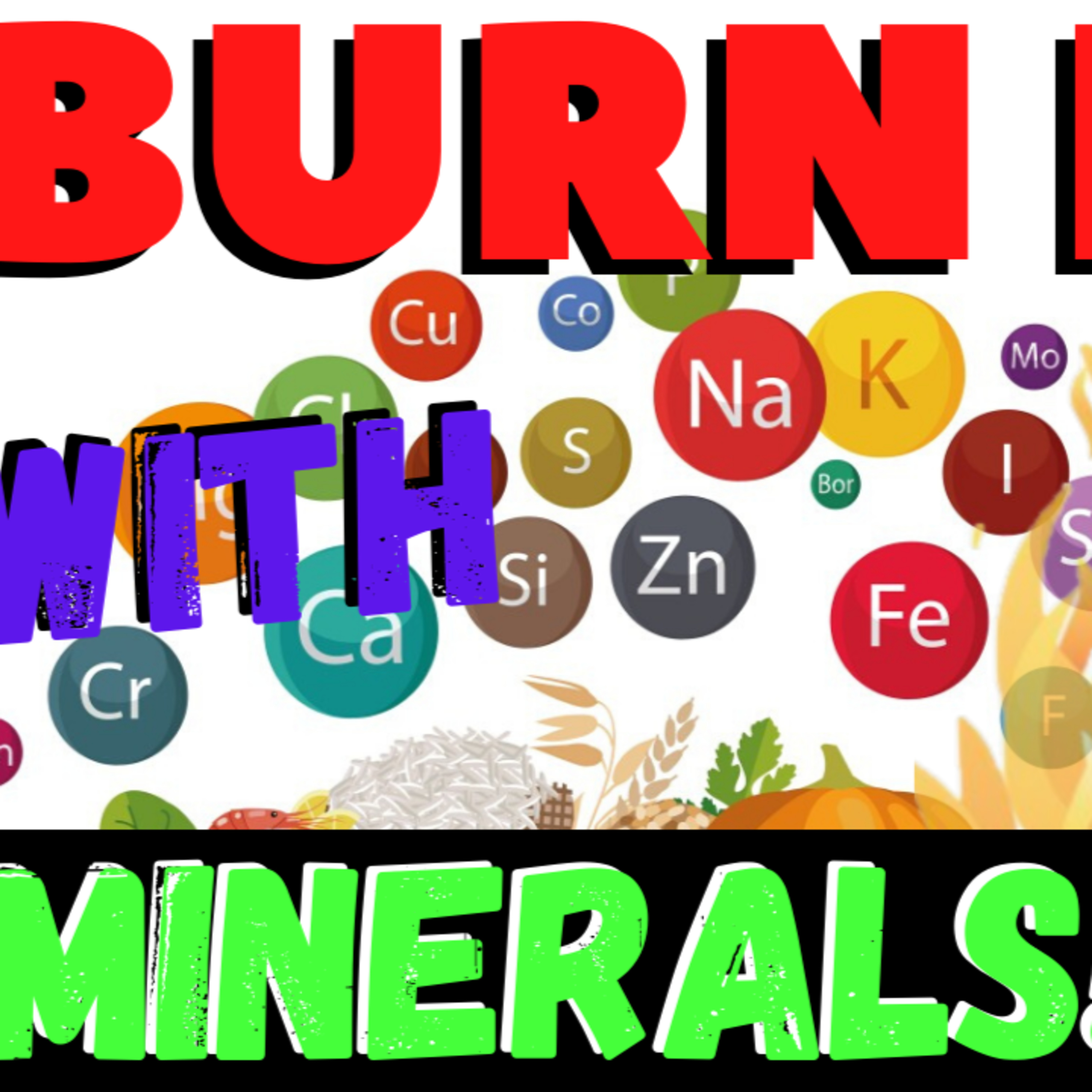 The Fit Women Hub - Fat Loss for Women