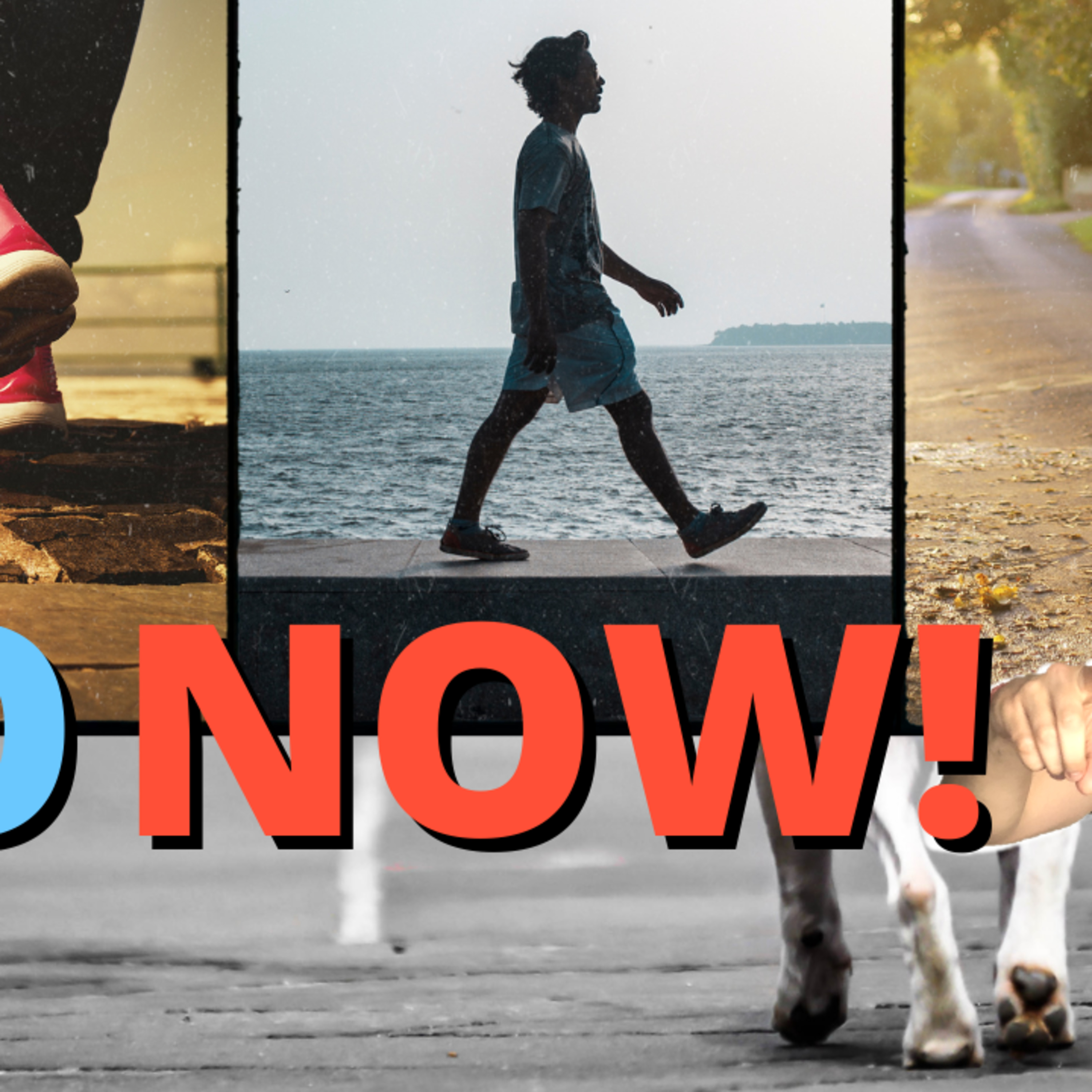 The Fit Women Hub - Fat Loss for Women