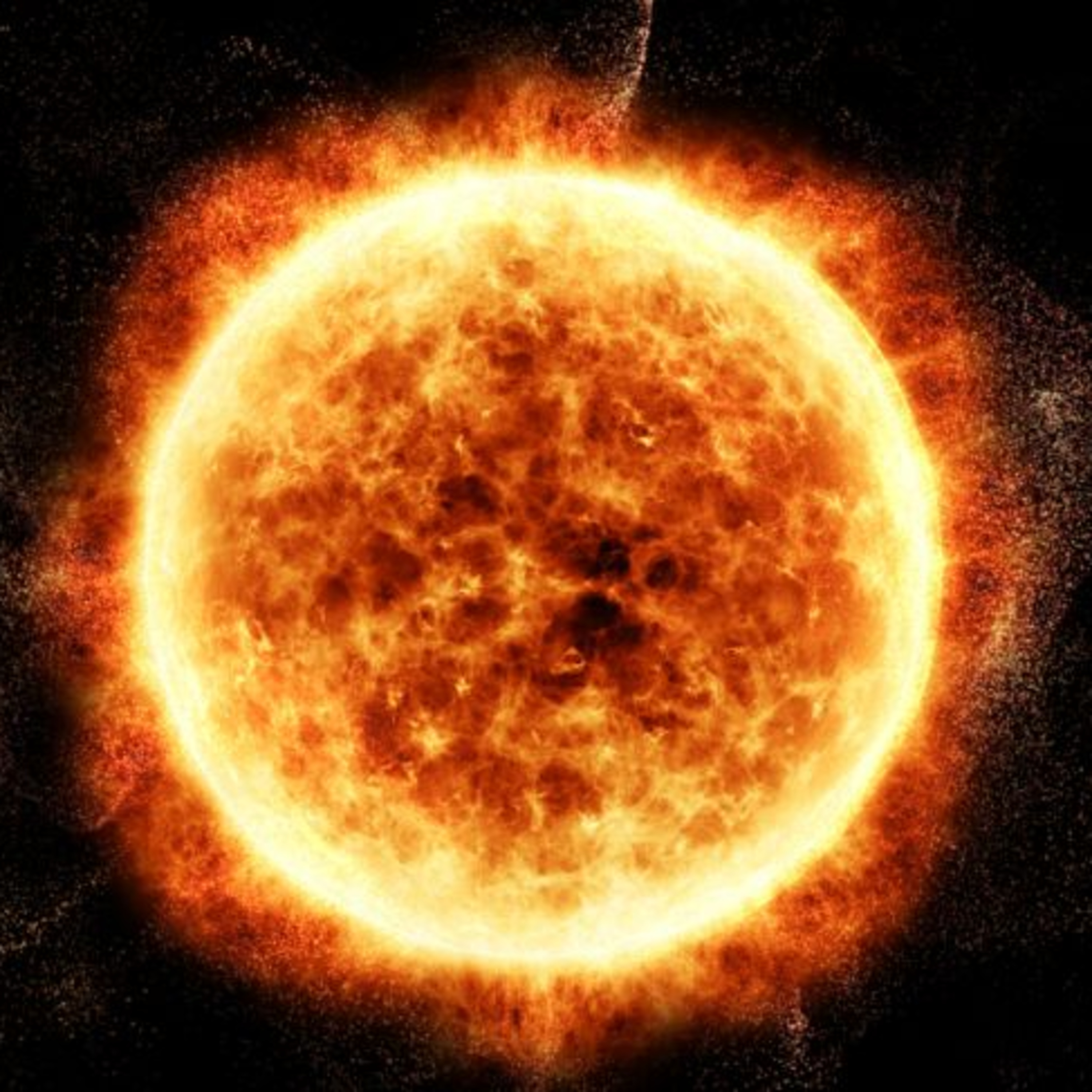 start fitness at 56 previous (Understanding Elon Musk)