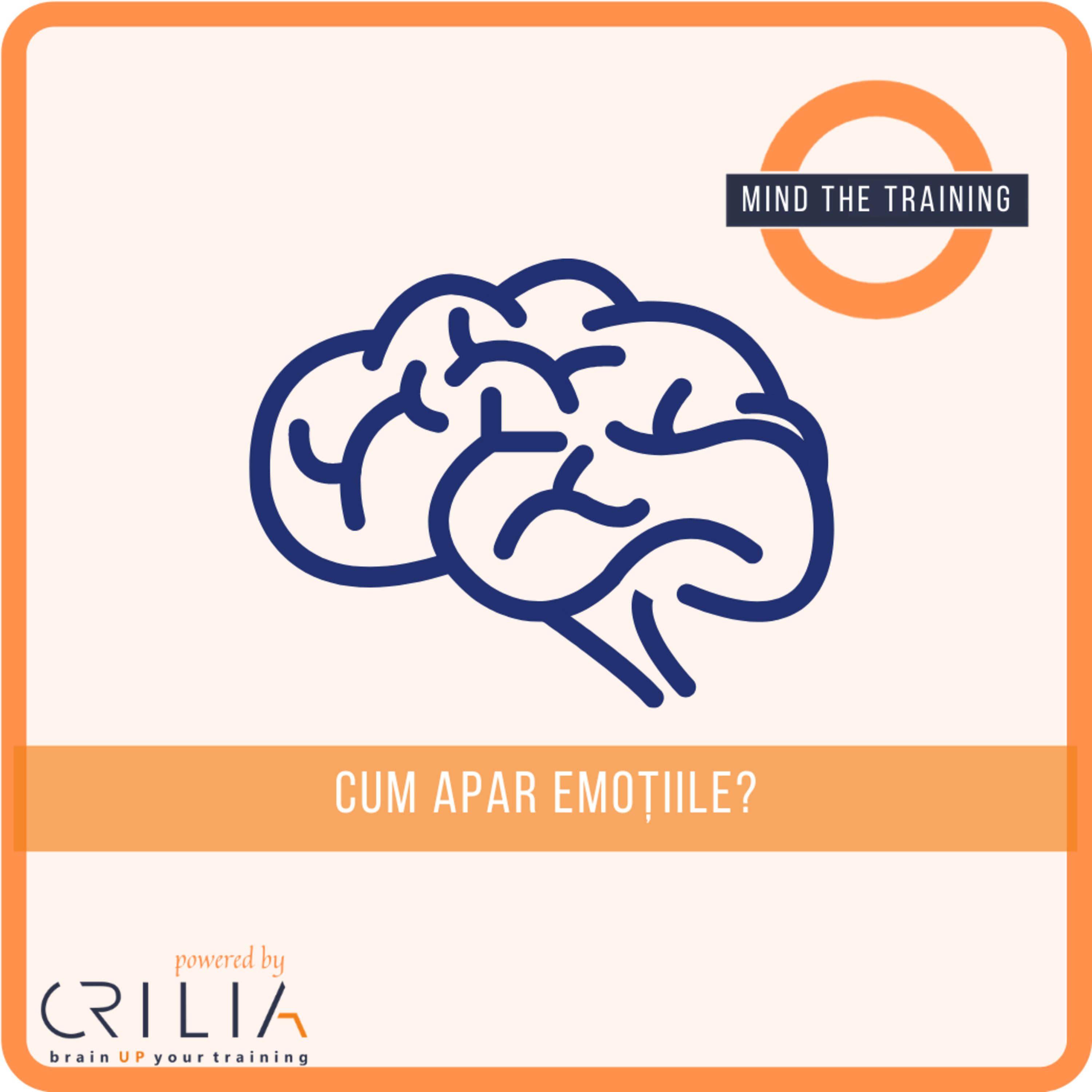 Mind the Training