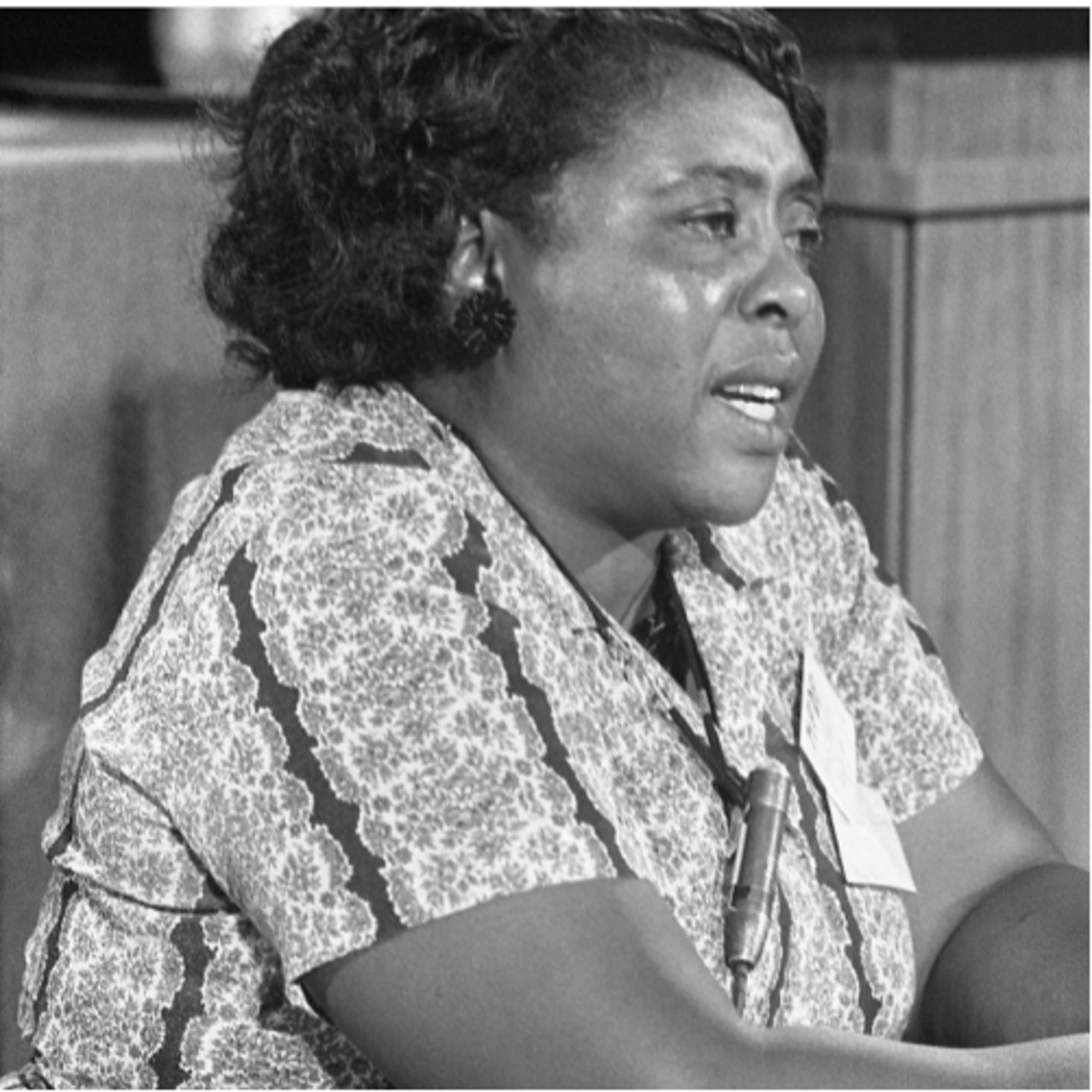 Episode 4: Fannie Lou Hamer