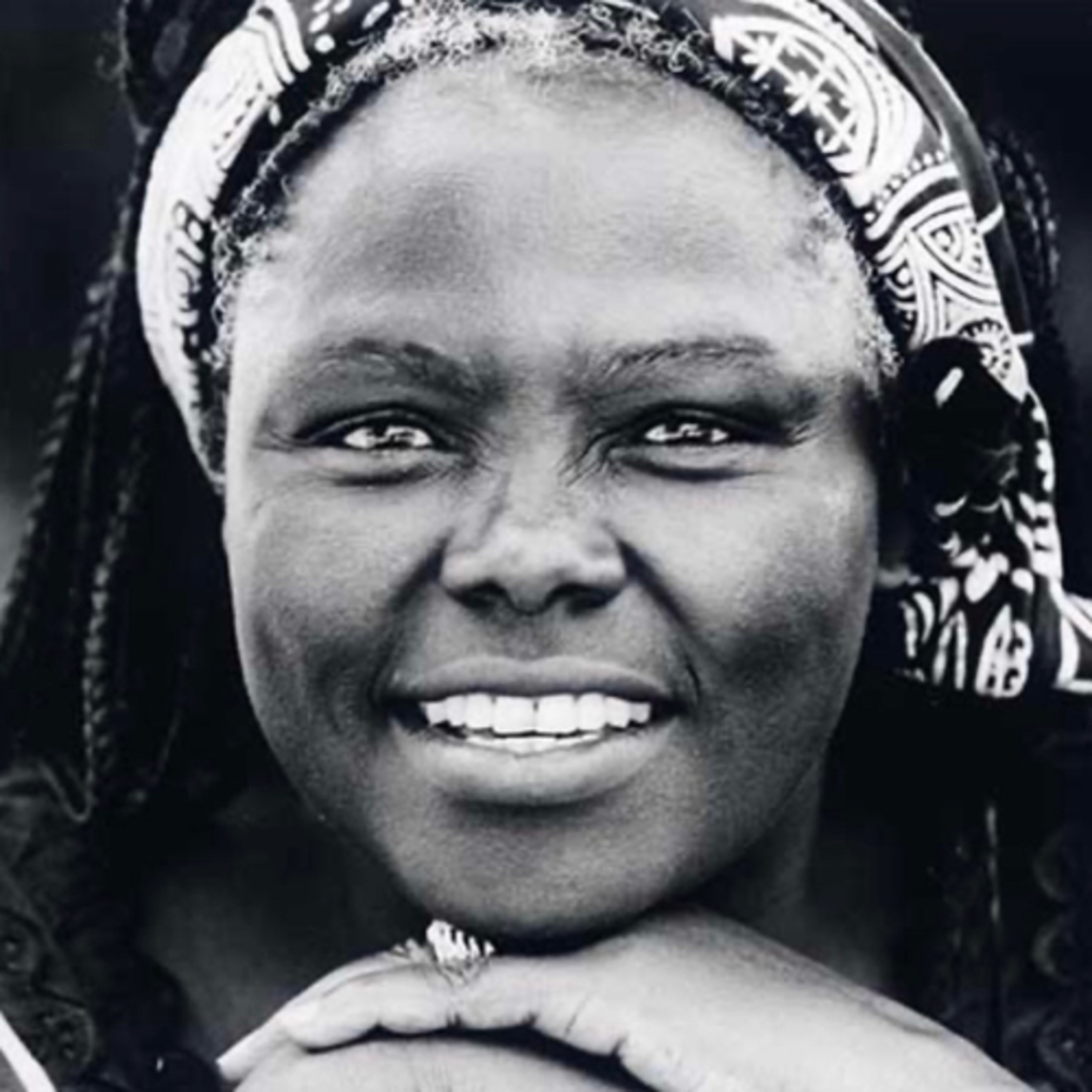 Episode 20: Wangari Maathai