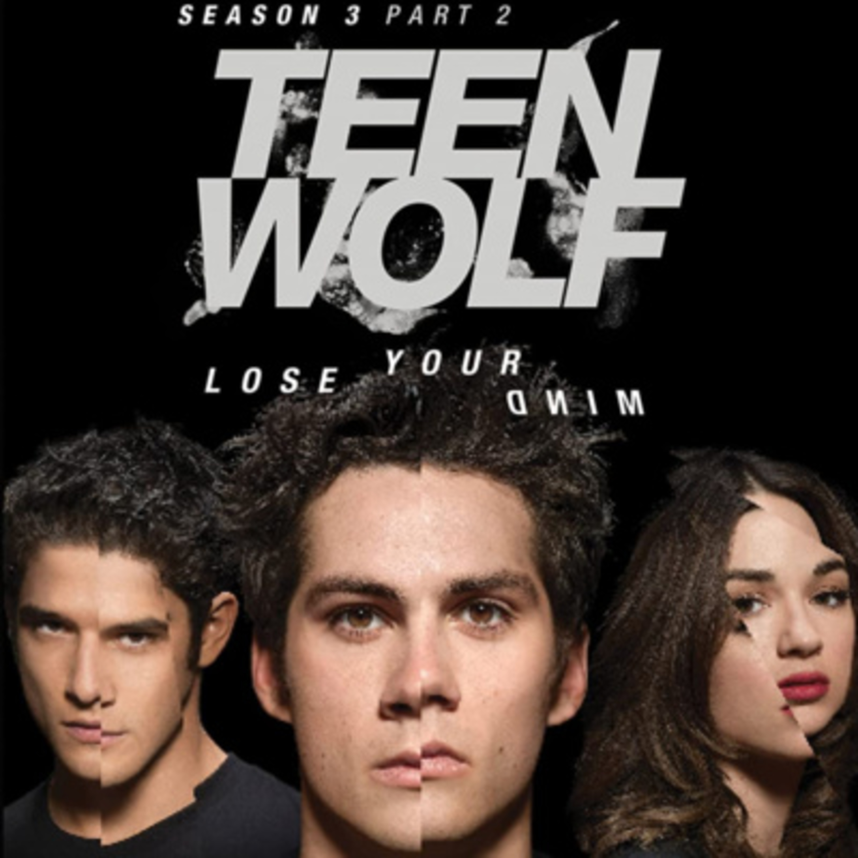 21 The Fox and The Wolf