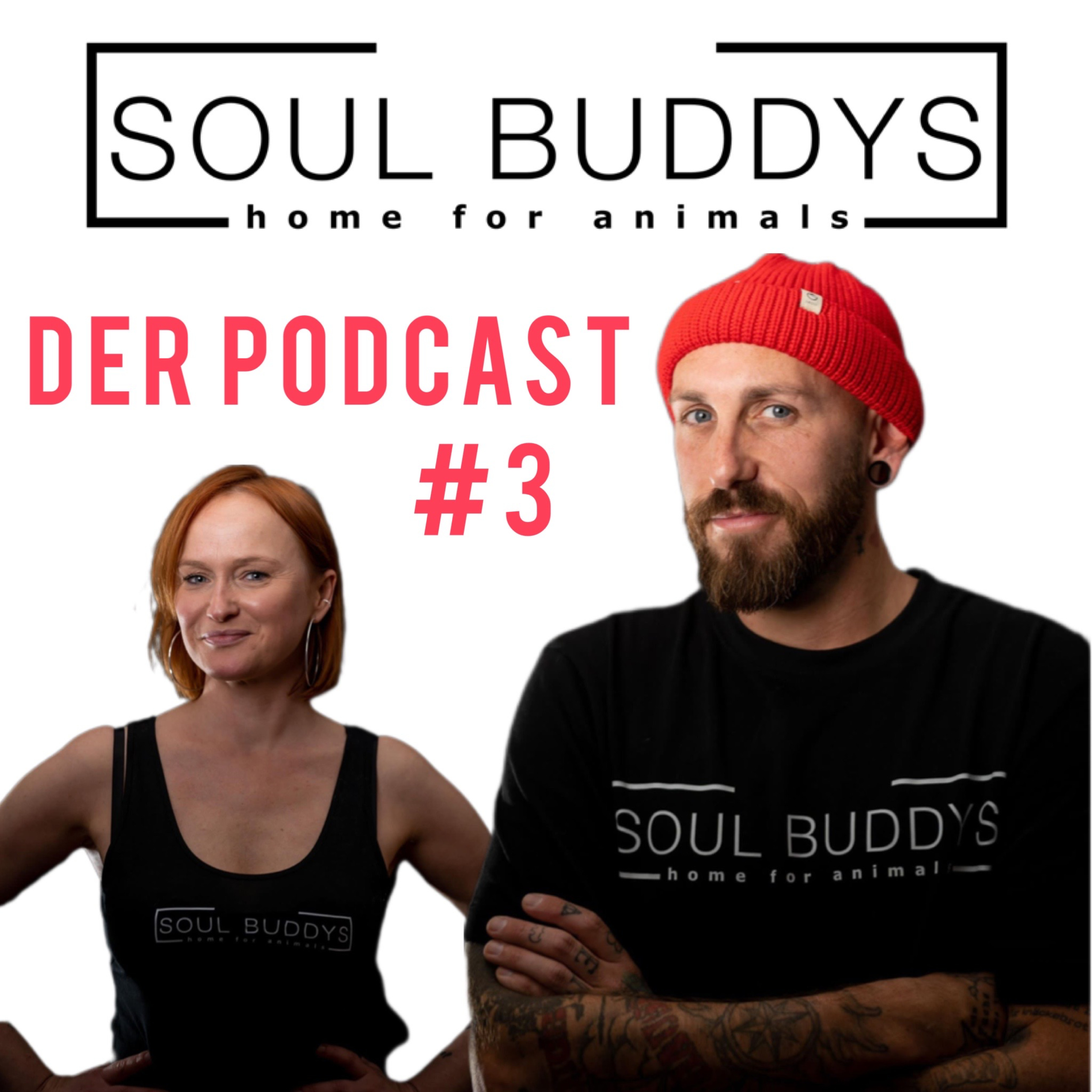 DIE SOUL BUDDYS