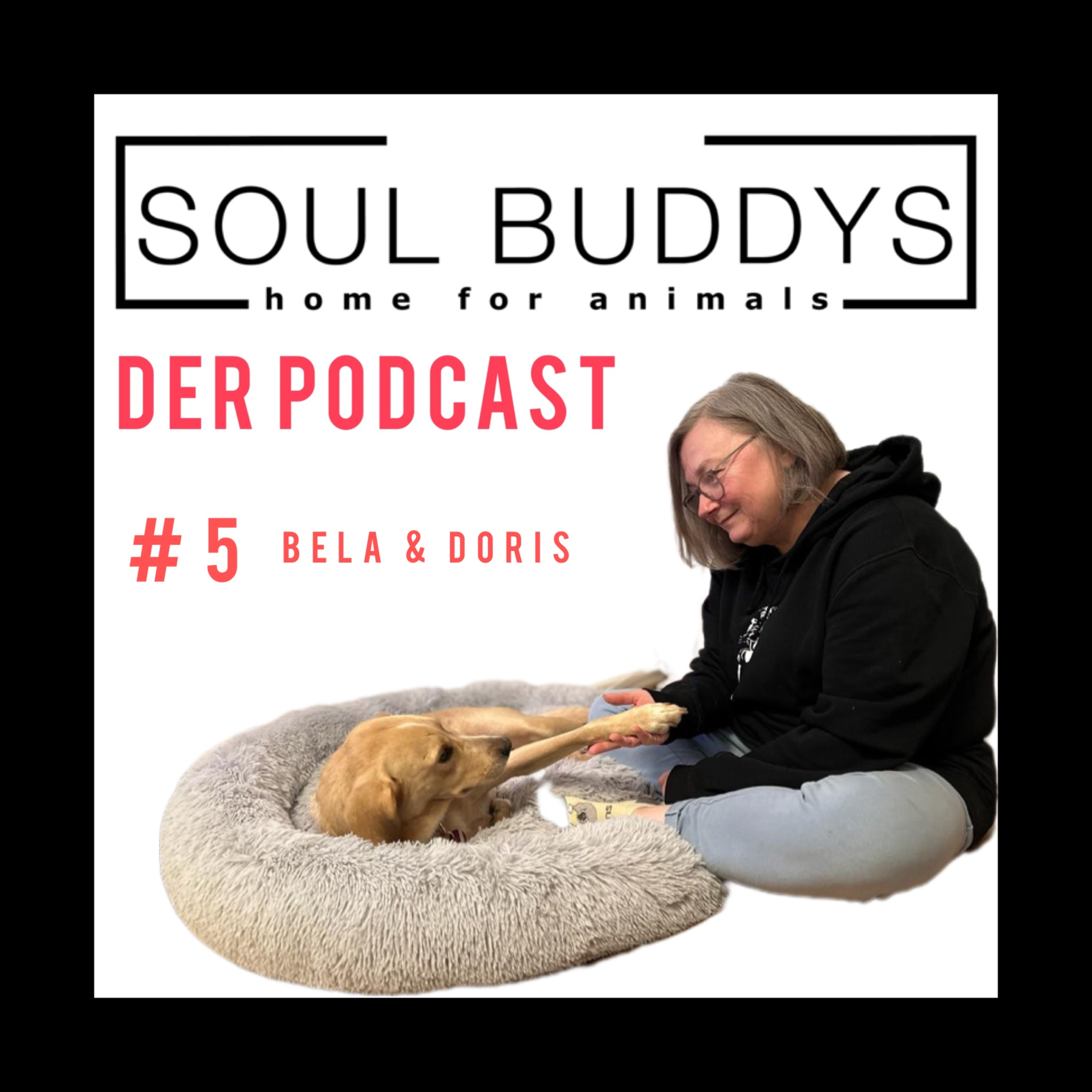 DIE SOUL BUDDYS