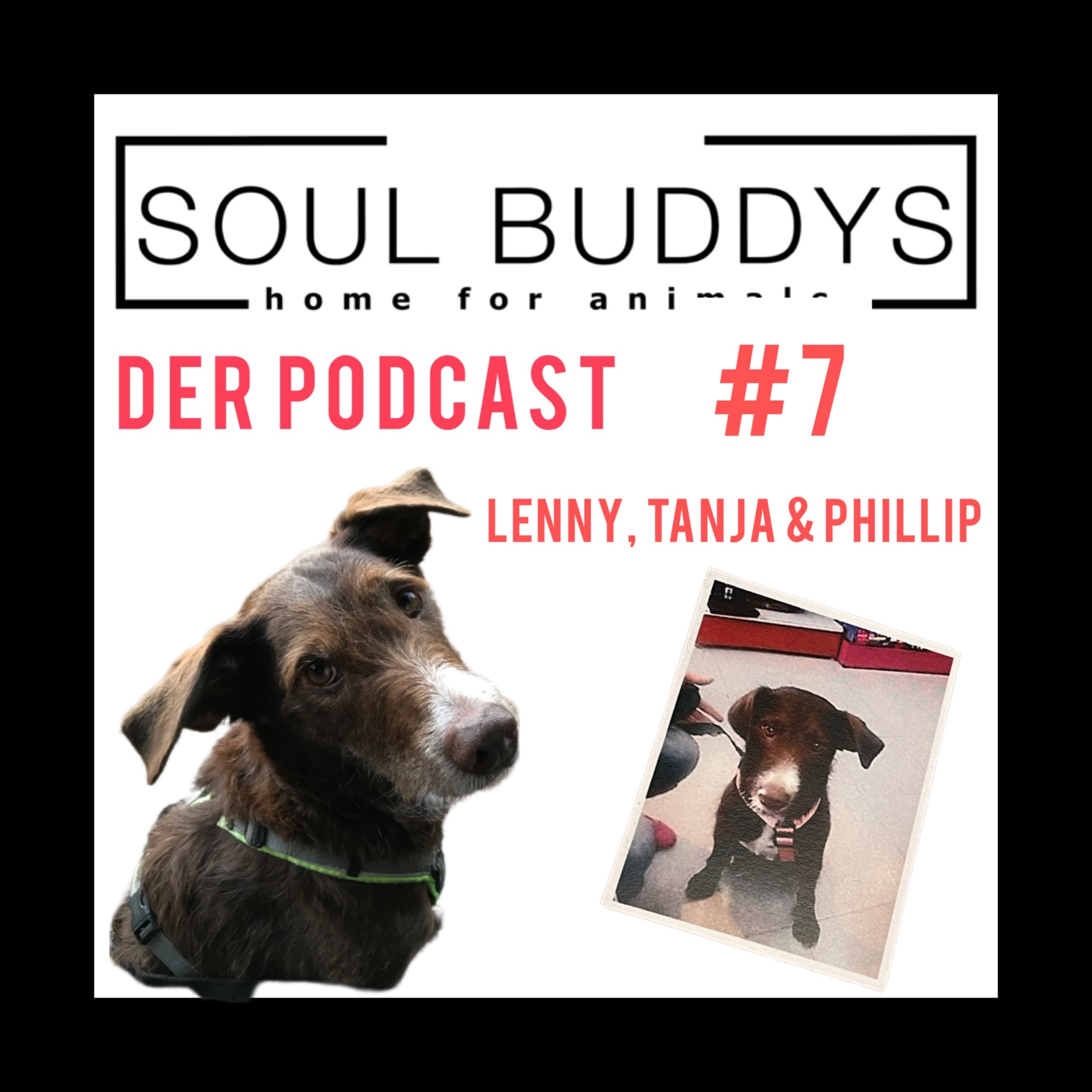 DIE SOUL BUDDYS