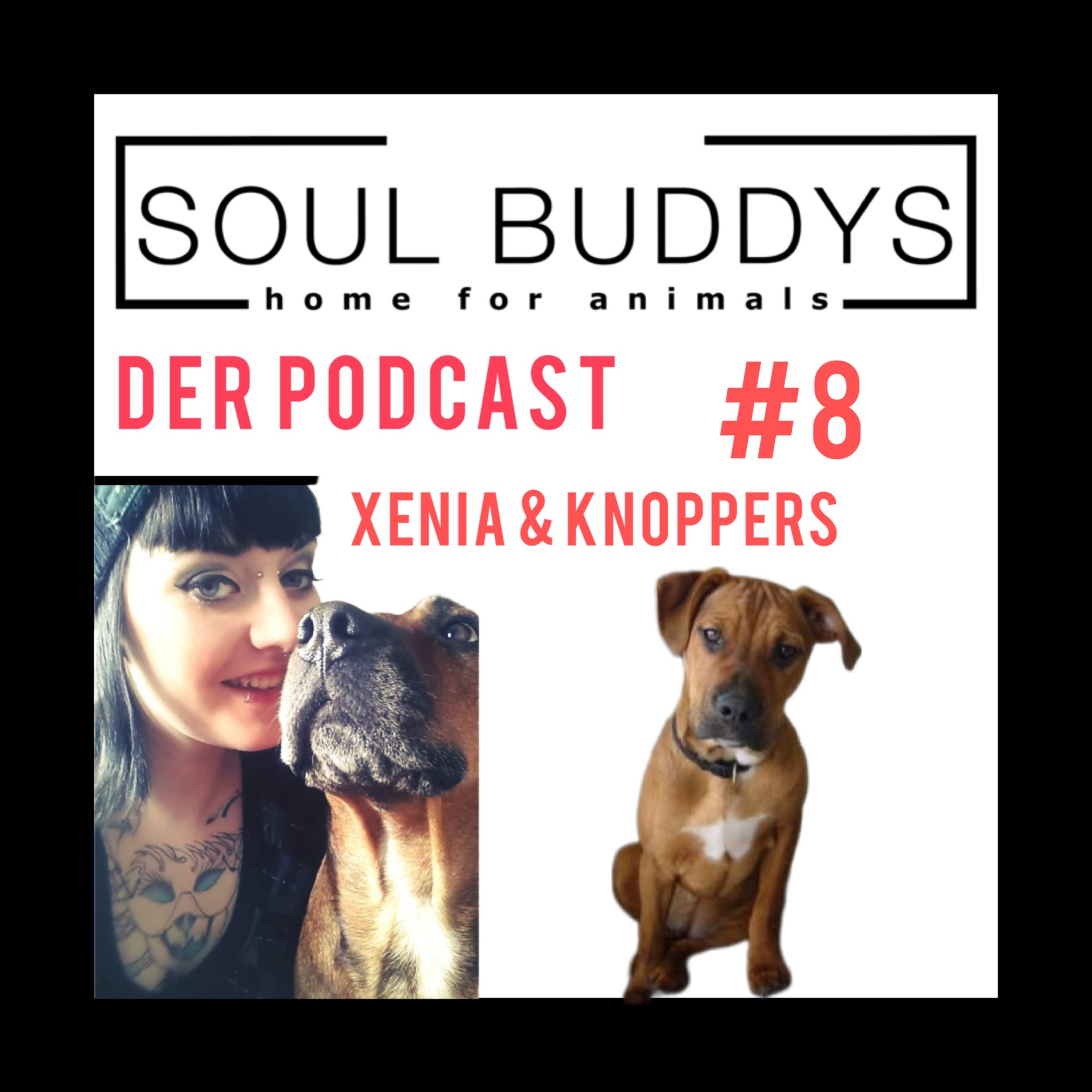 DIE SOUL BUDDYS
