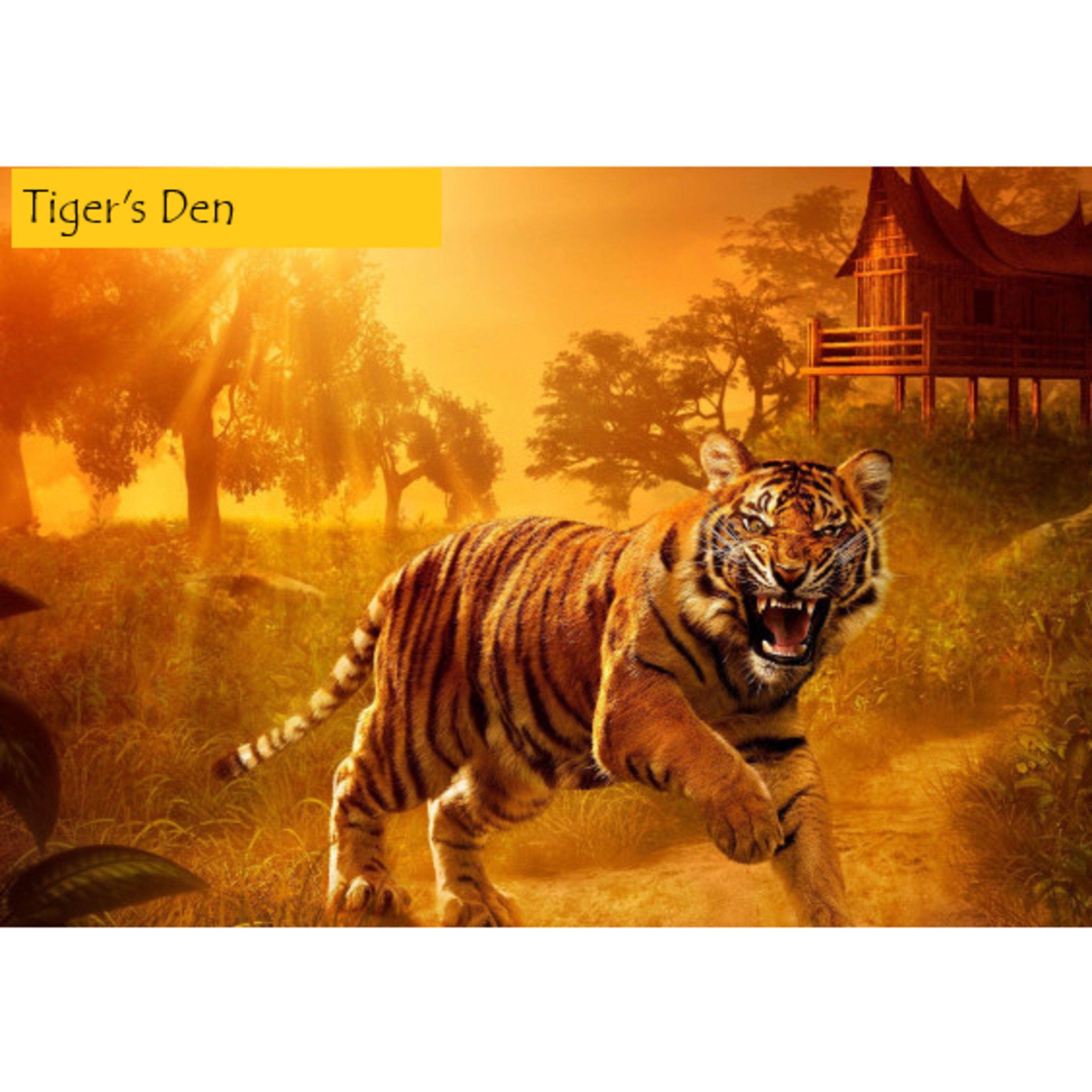 The Tiger\'s Den