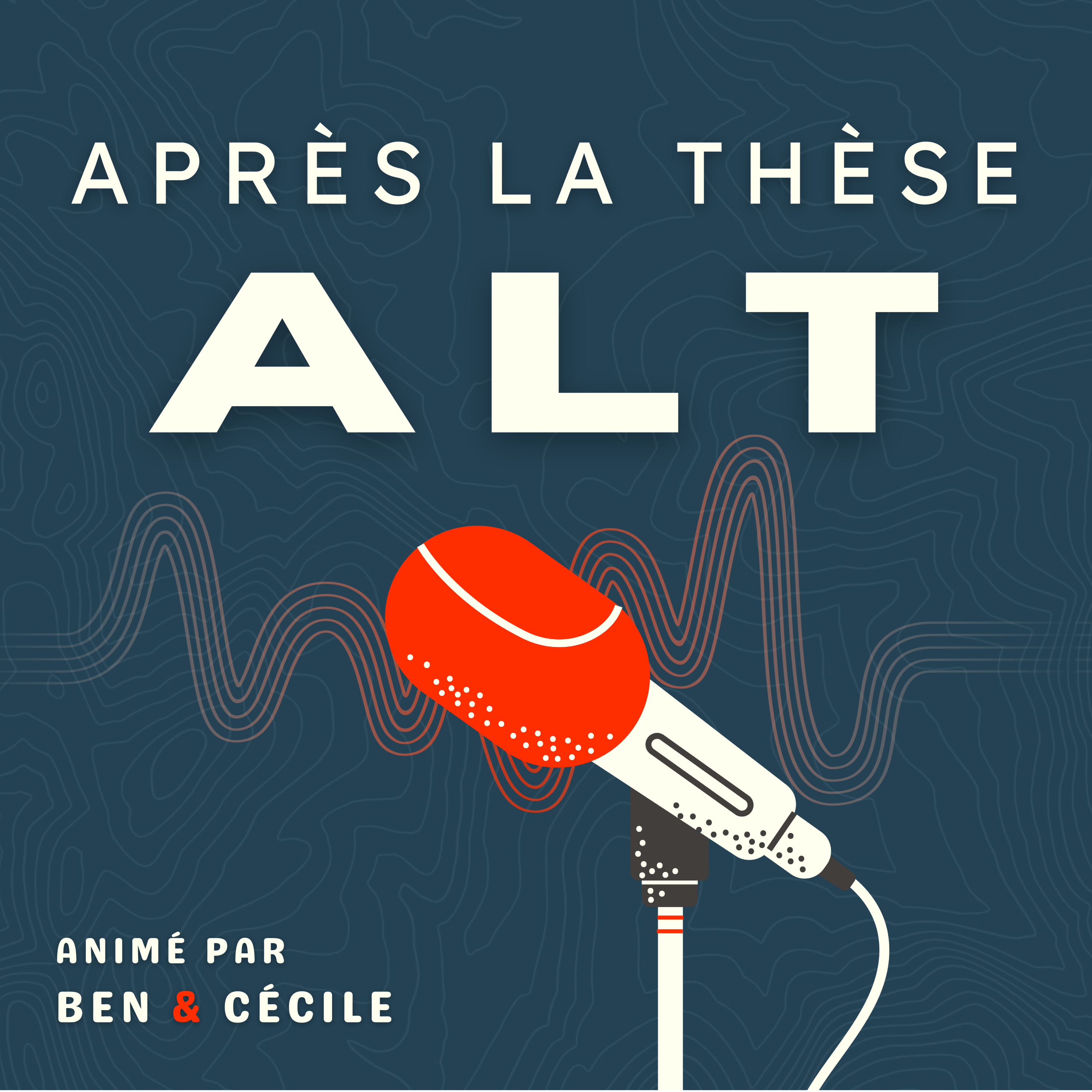 Après La Thèse