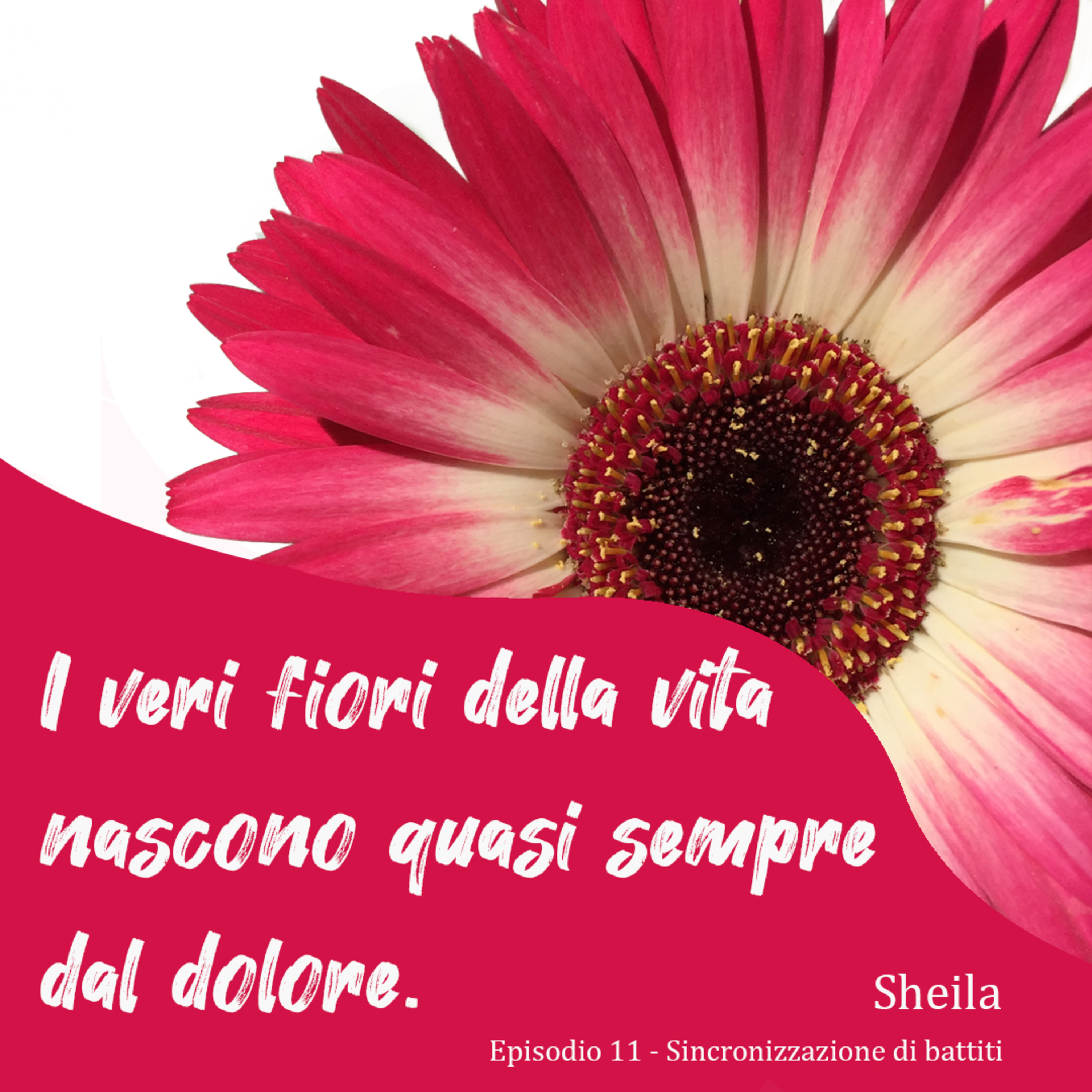Sheila ritrova la felicità - Parte 1 episode artwork