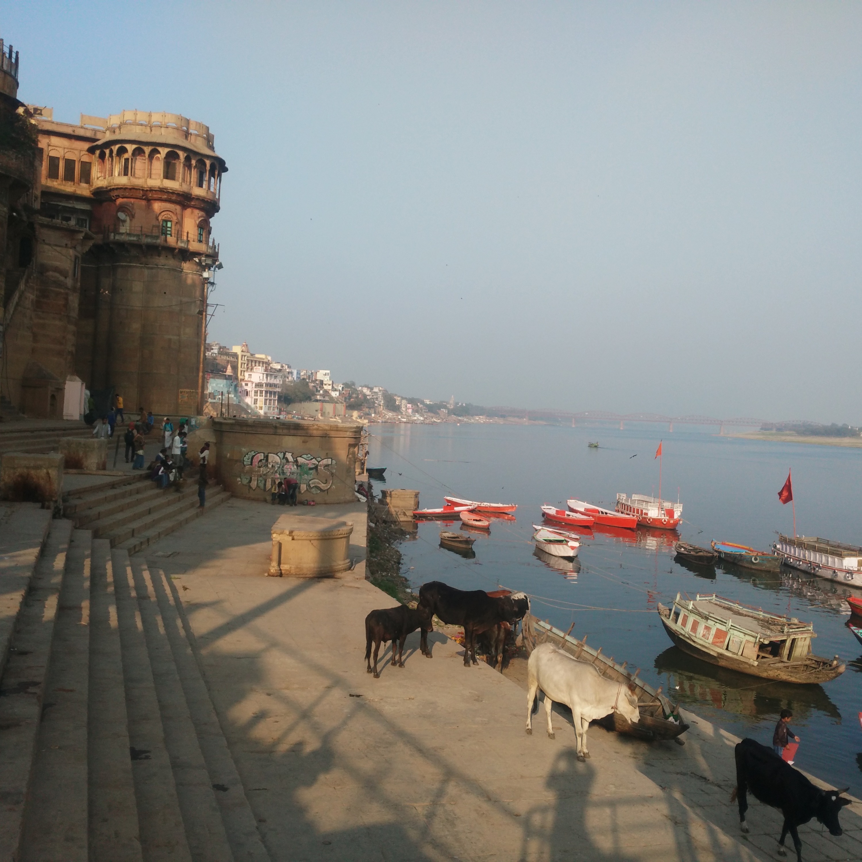 A Valuable Lesson of Friendship on the Shores of the Rives Ganges