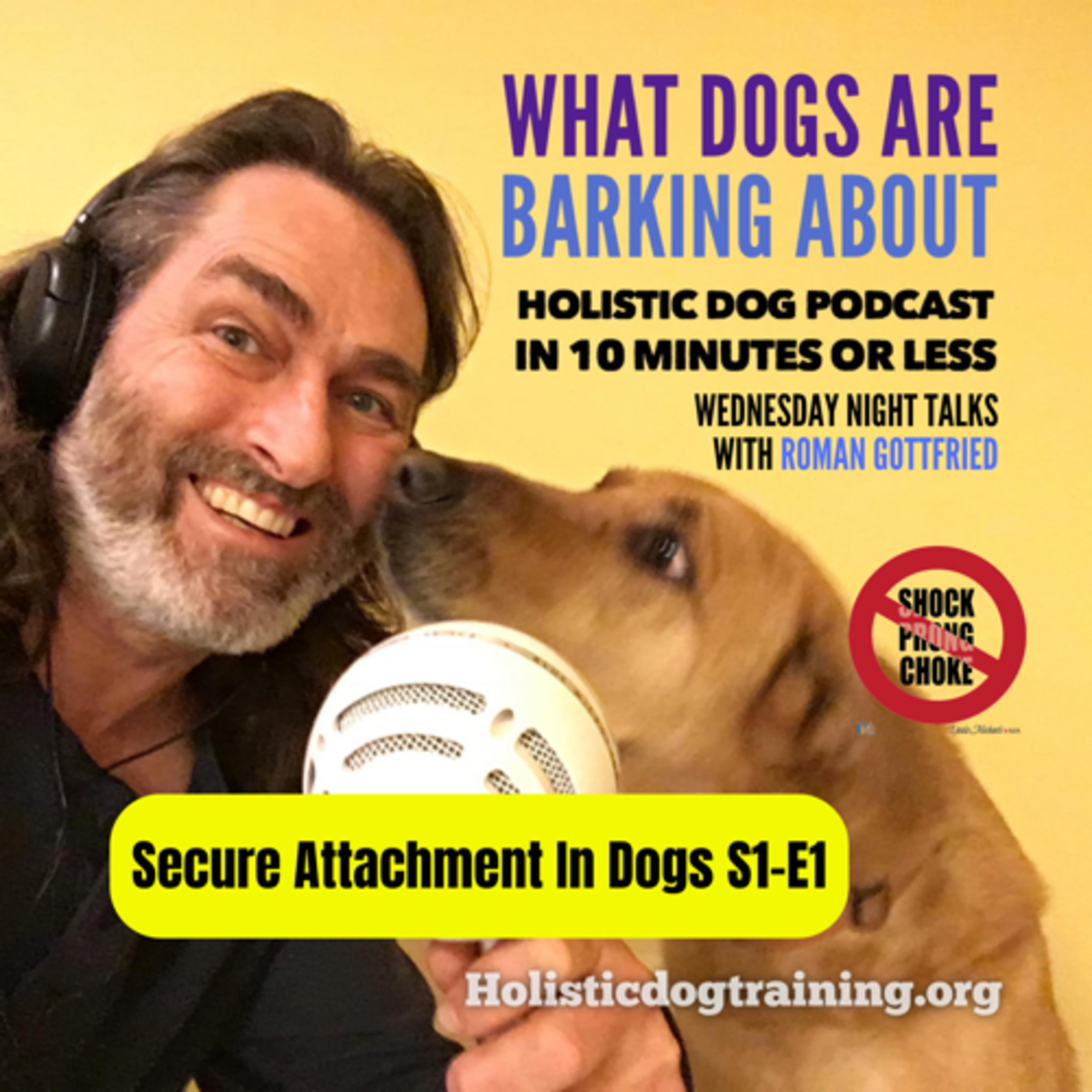 Attachment In Dogs episode artwork