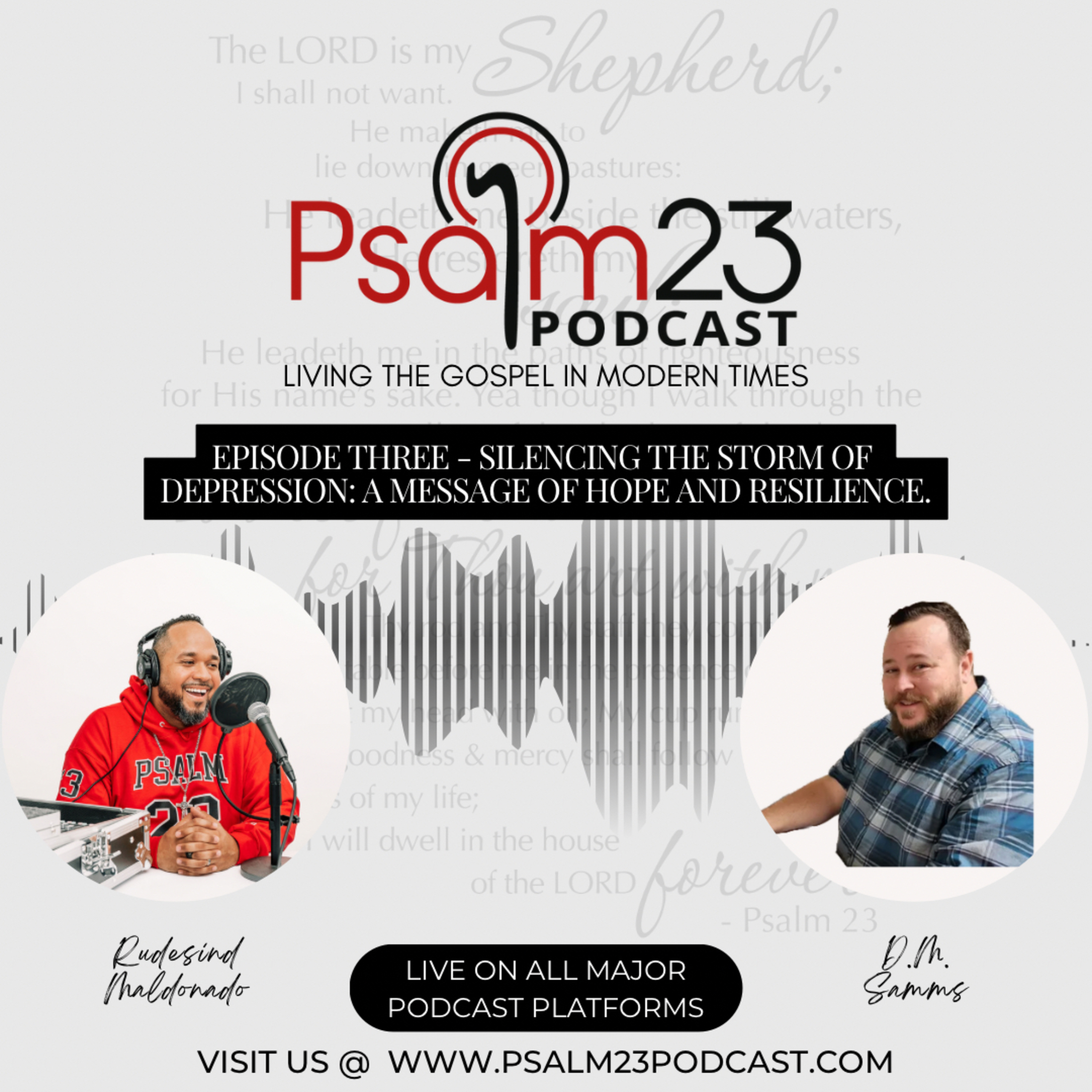 Psalm 23 Podcast: Living the Gospel in Modern Times