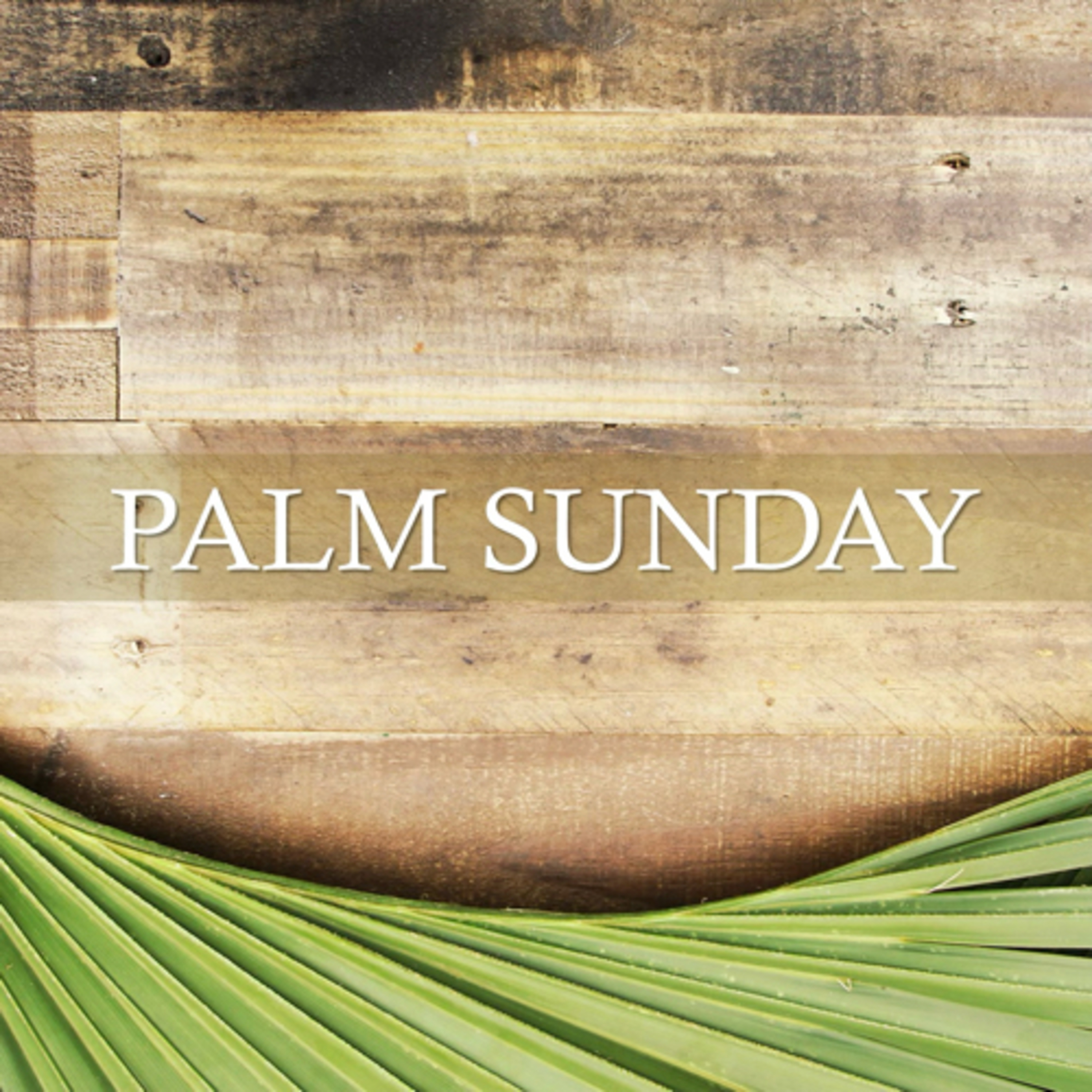 Palm Sunday episode artwork