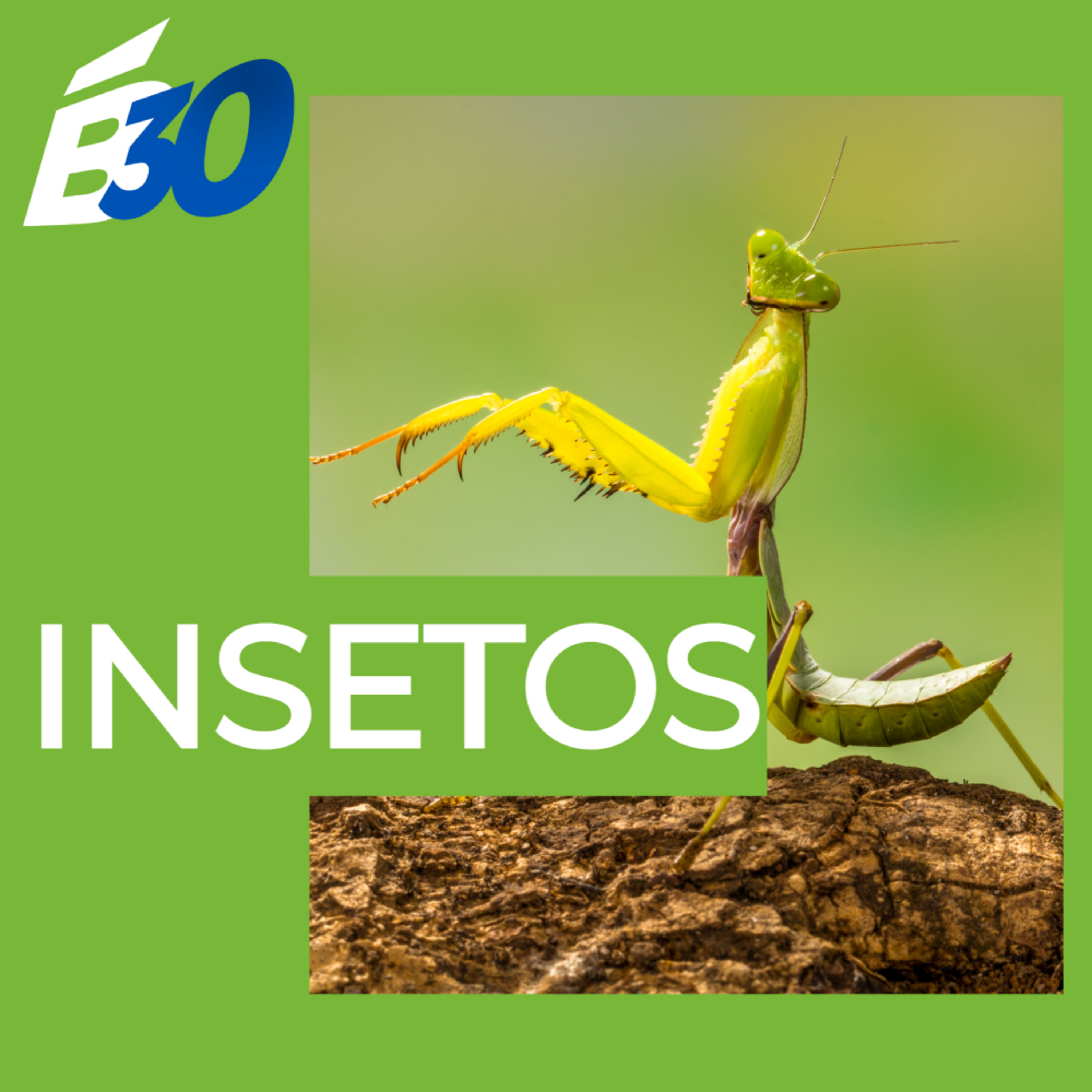 Biologia em Meia Hora