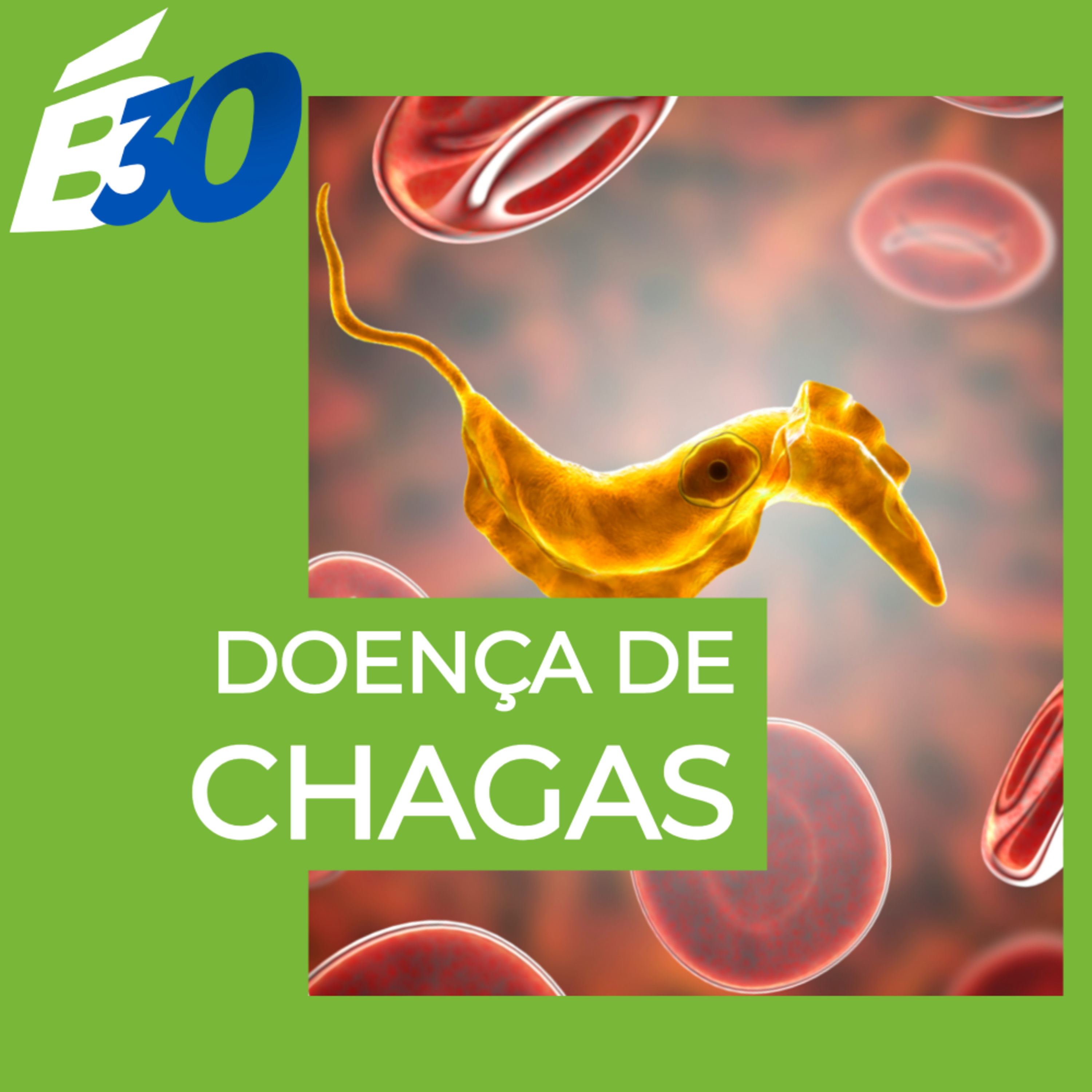 Biologia em Meia Hora